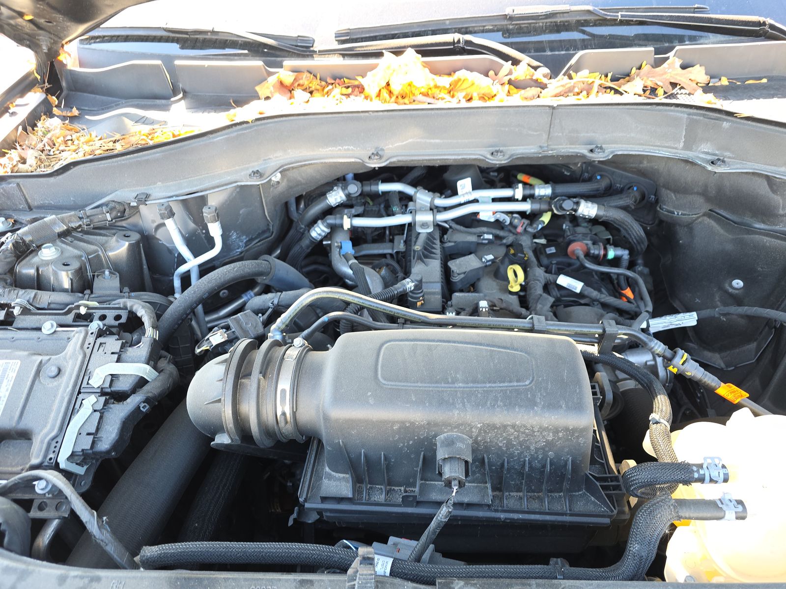 2023 Ford Explorer XLT AWD