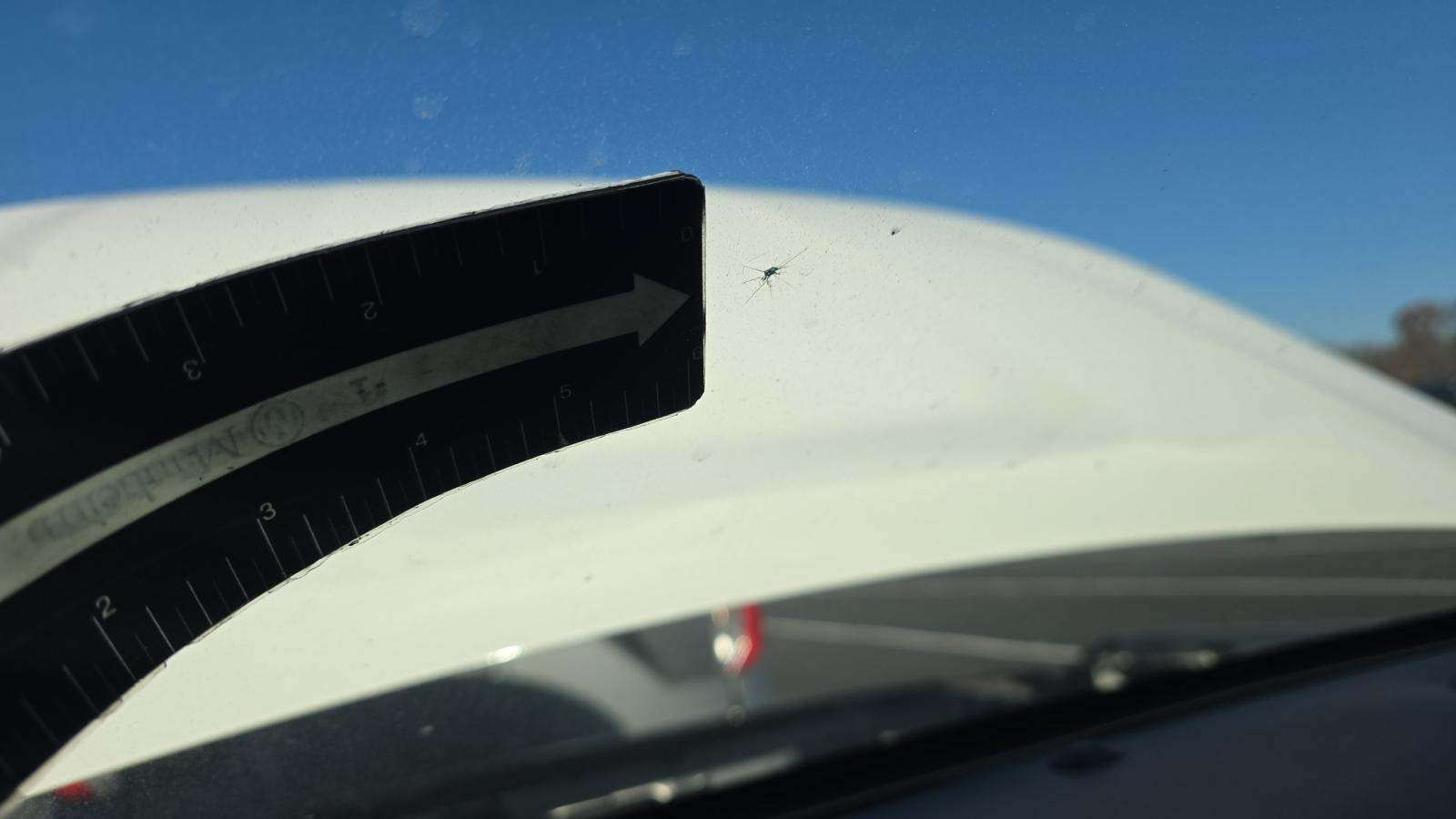 2025 Ford Explorer Active RWD