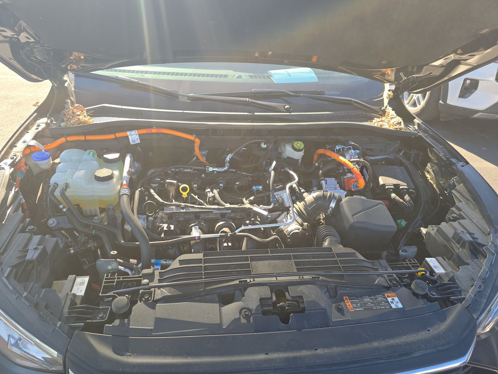 2025 Ford Escape Hybrid ST-Line Elite AWD