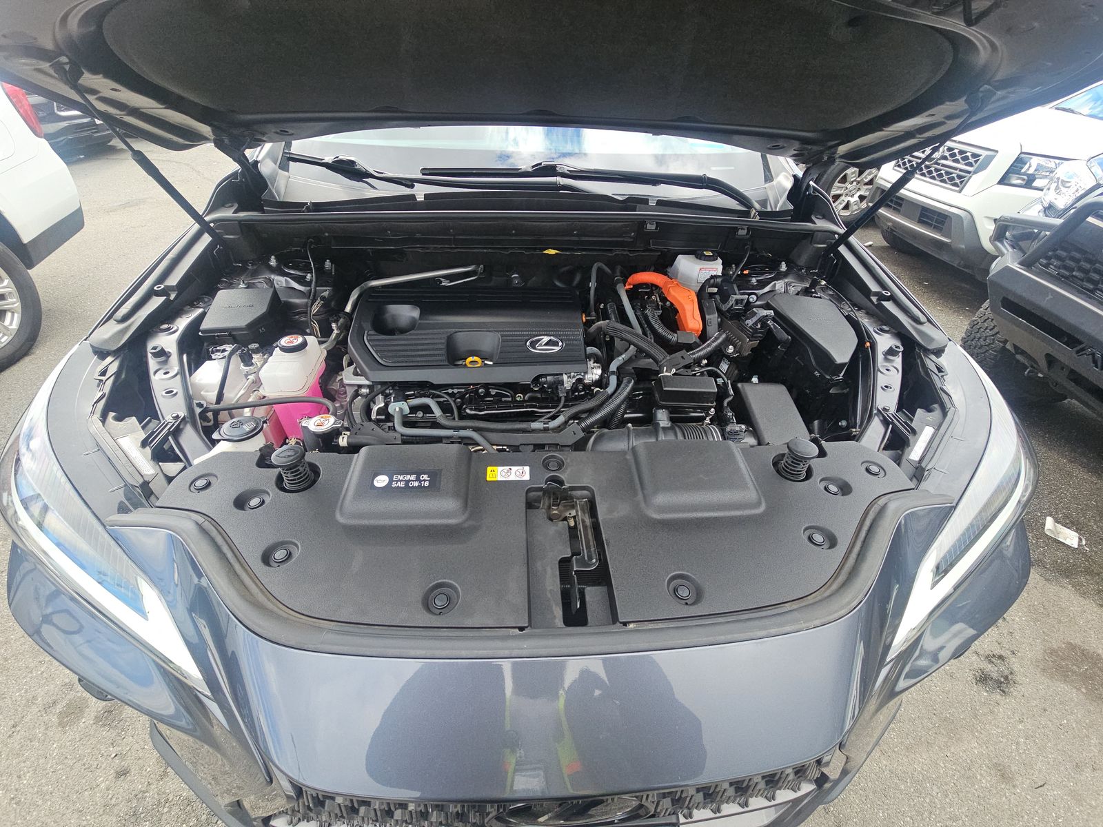 2022 Lexus NX NX 350h AWD