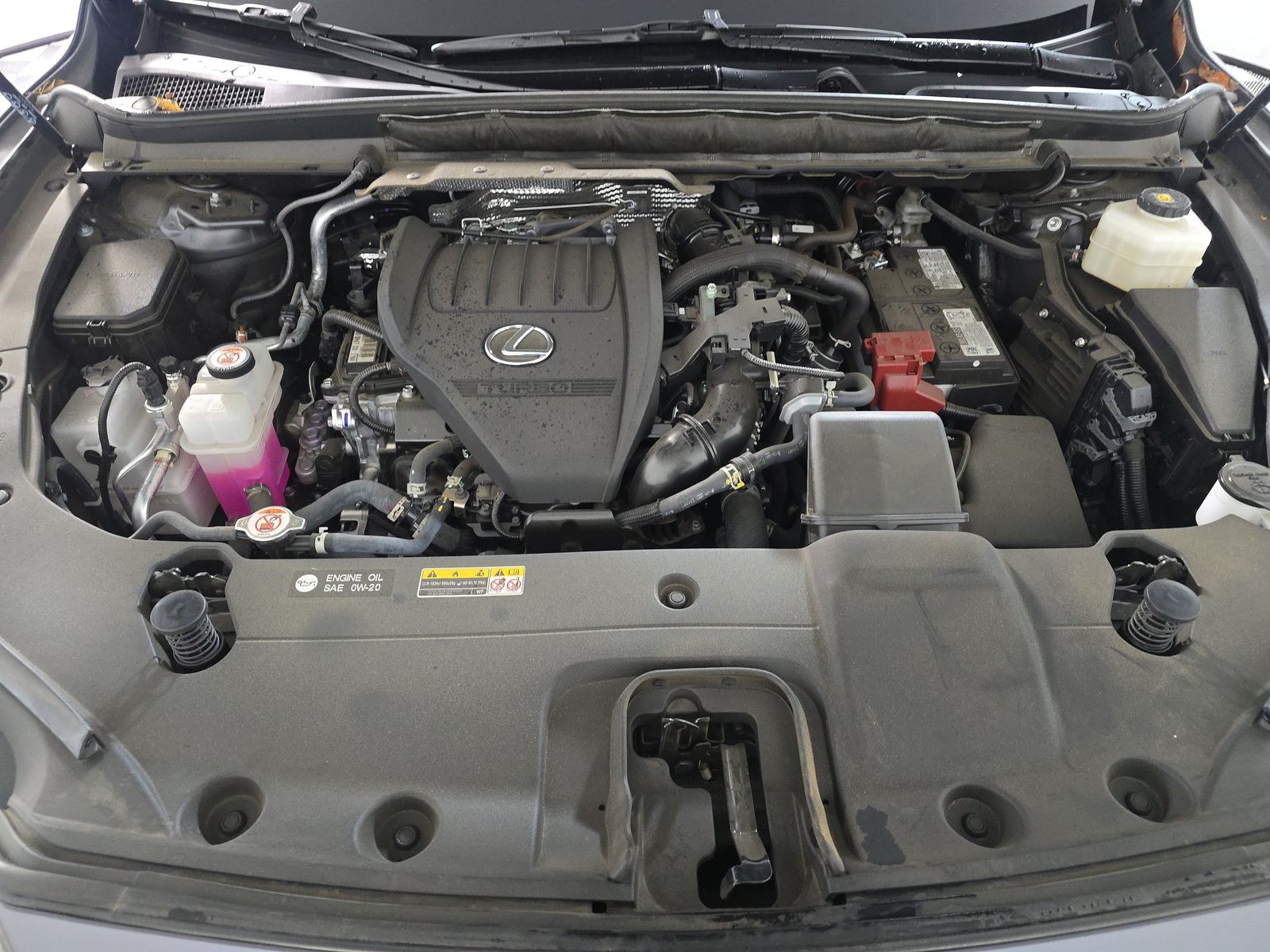 2024 Lexus RX RX 350 FWD