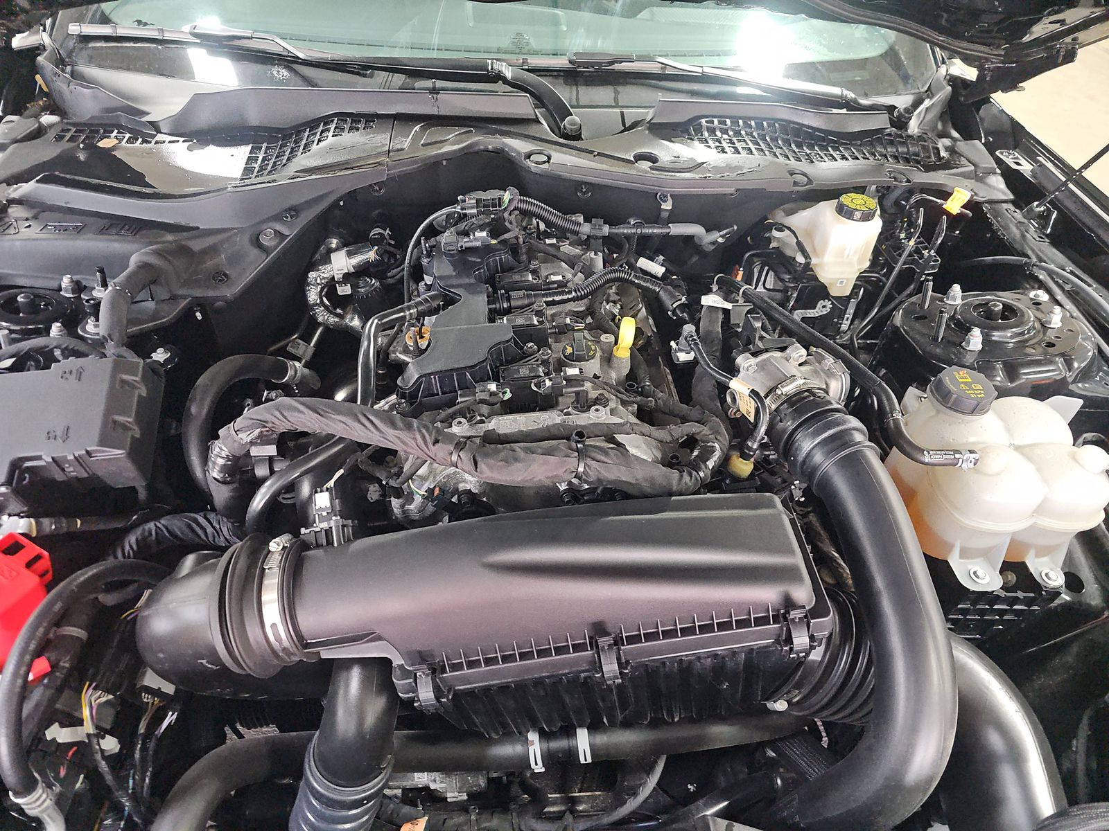 2024 Ford Mustang EcoBoost RWD