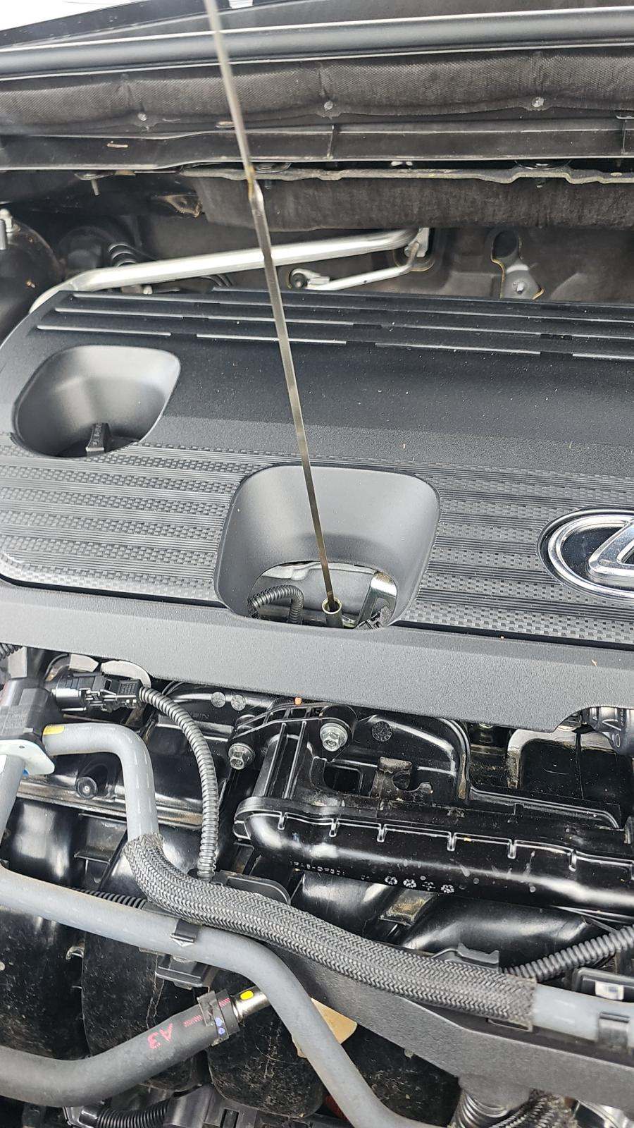 2022 Lexus NX NX 350h AWD