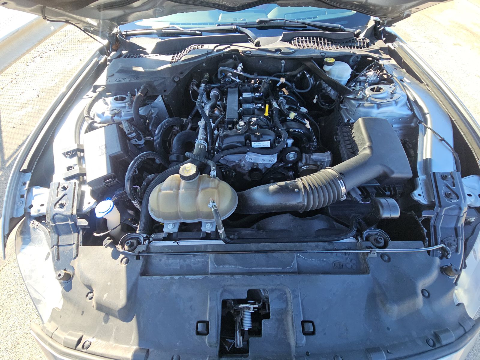 2022 Ford Mustang EcoBoost Premium RWD