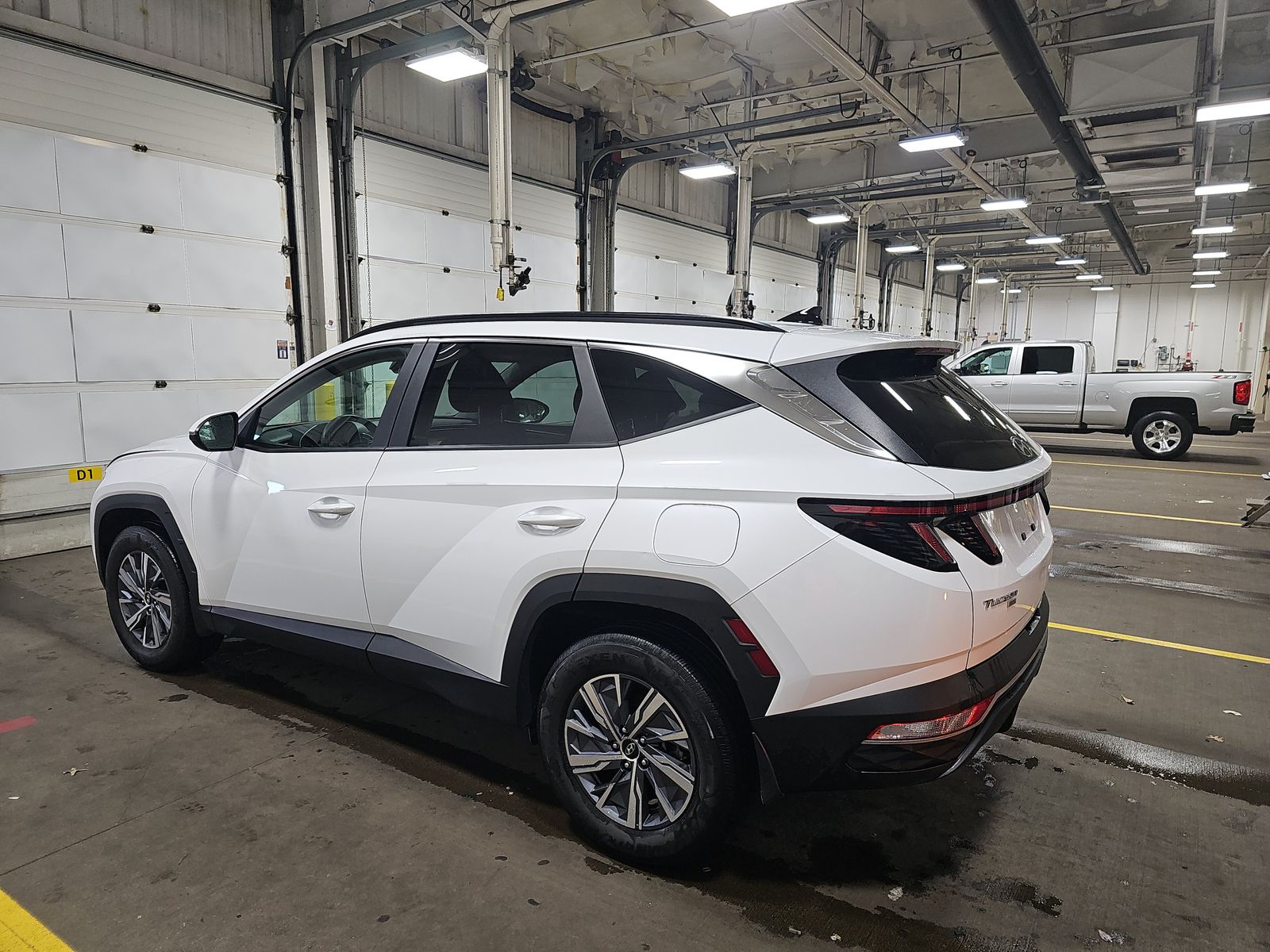 2023 Hyundai Tucson Hybrid Blue AWD