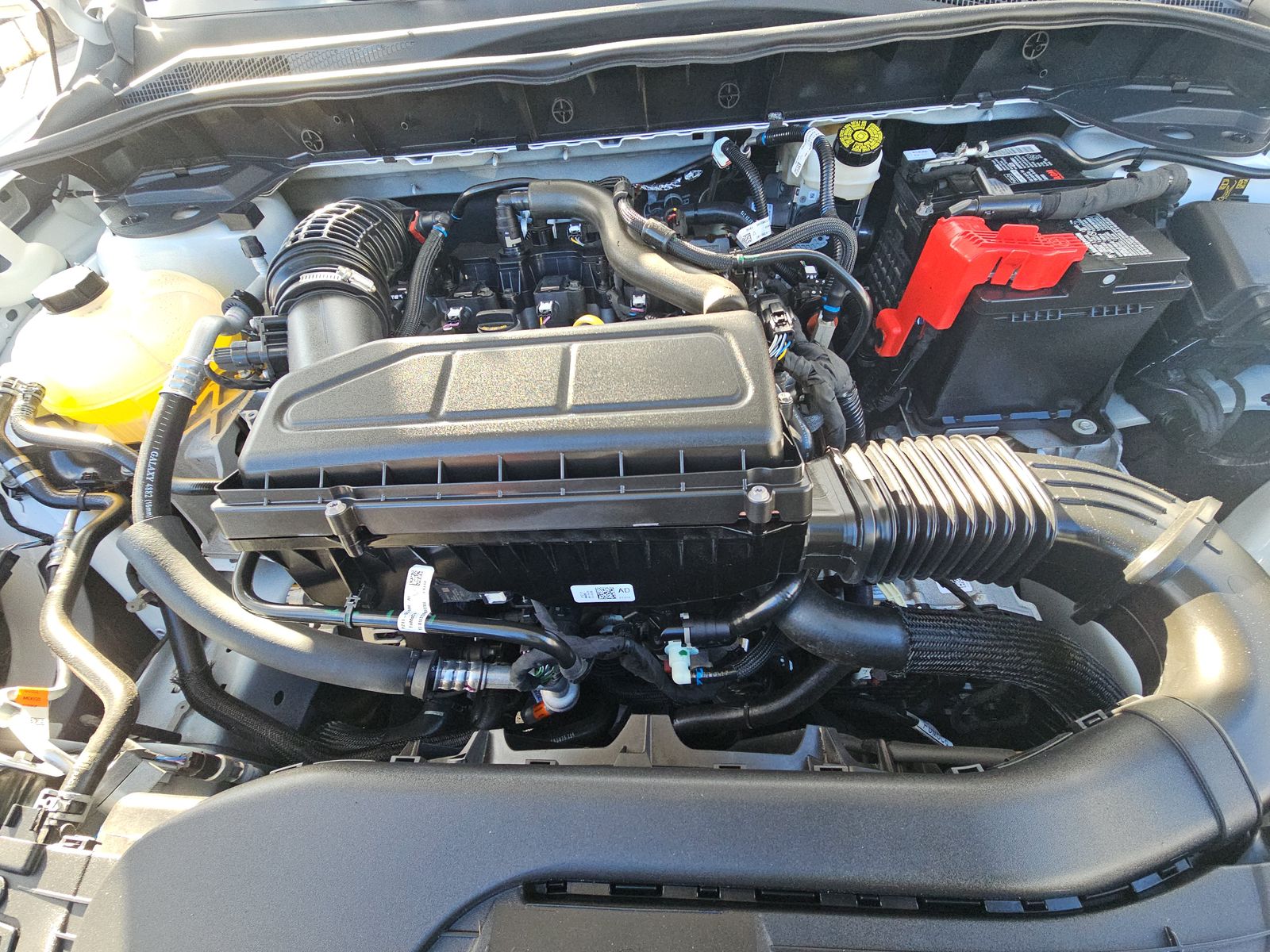 2024 Ford Escape Active AWD