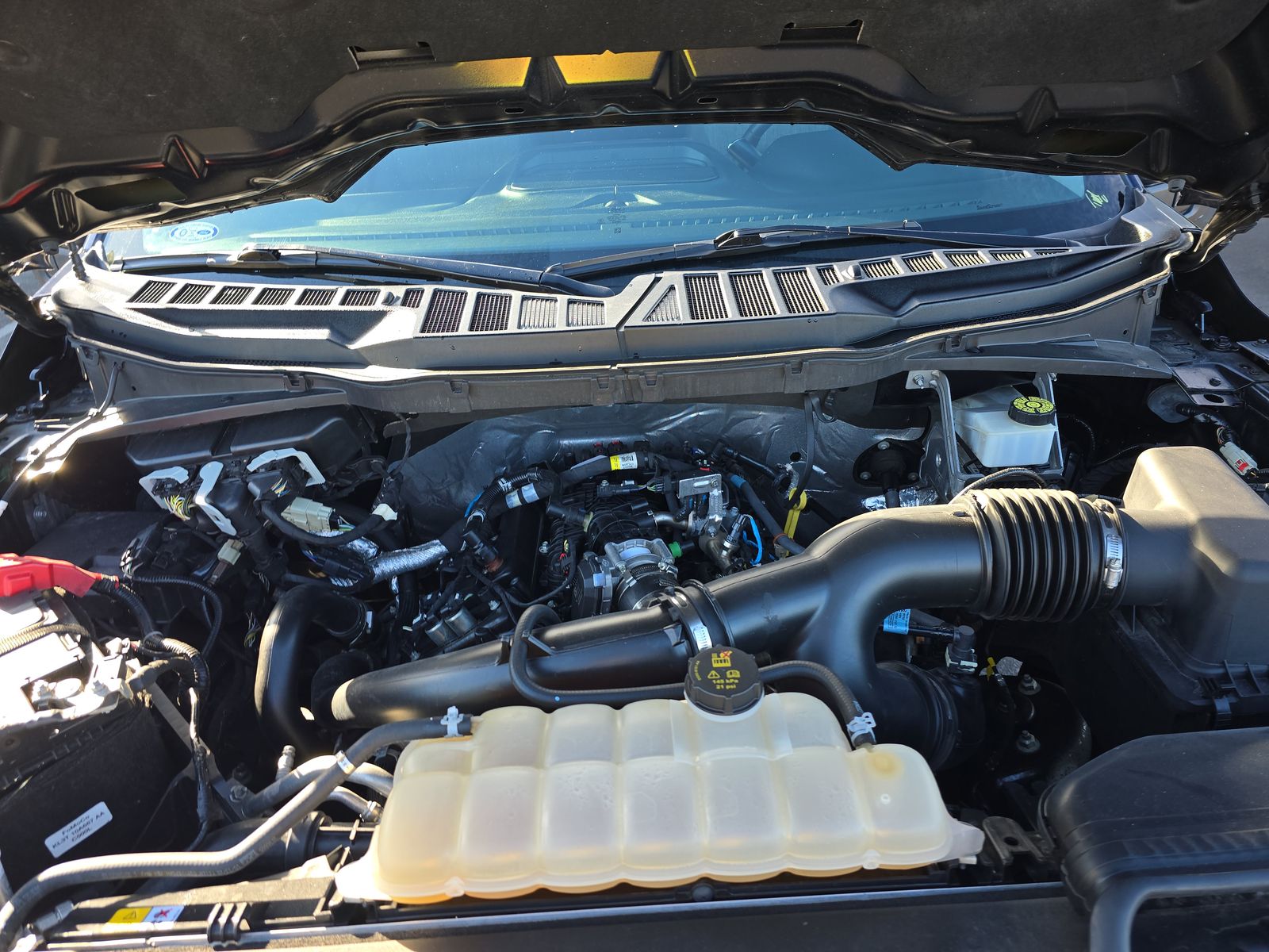 2023 Ford F-150 XLT RWD