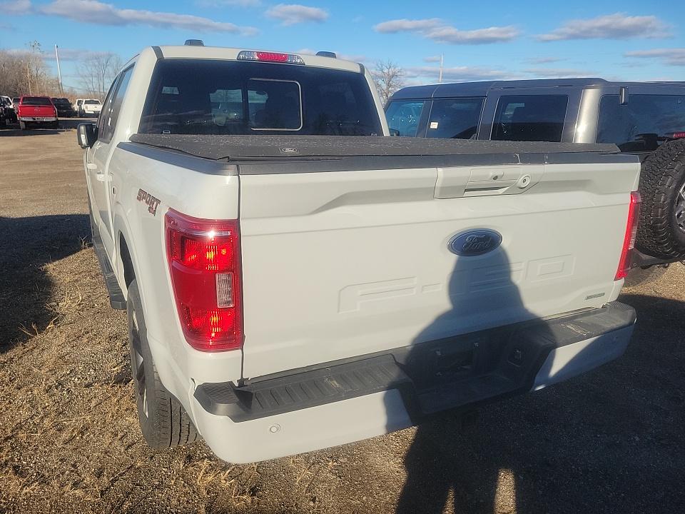 2023 Ford F-150 XLT AWD