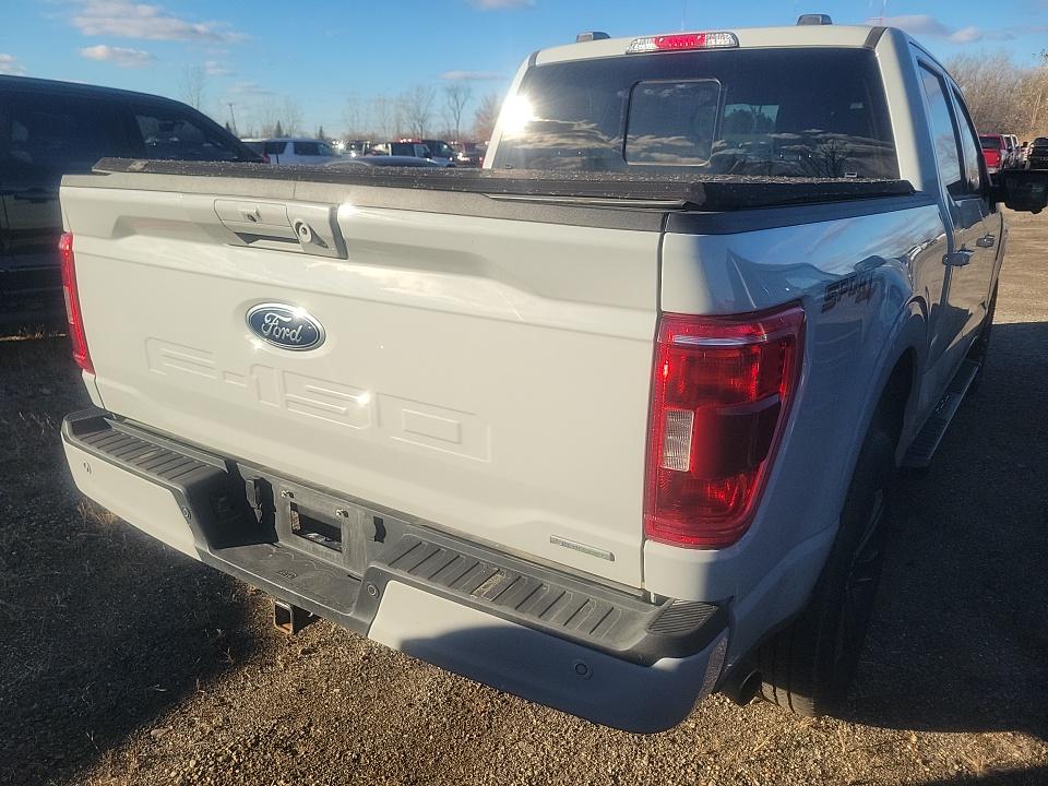 2023 Ford F-150 XLT AWD