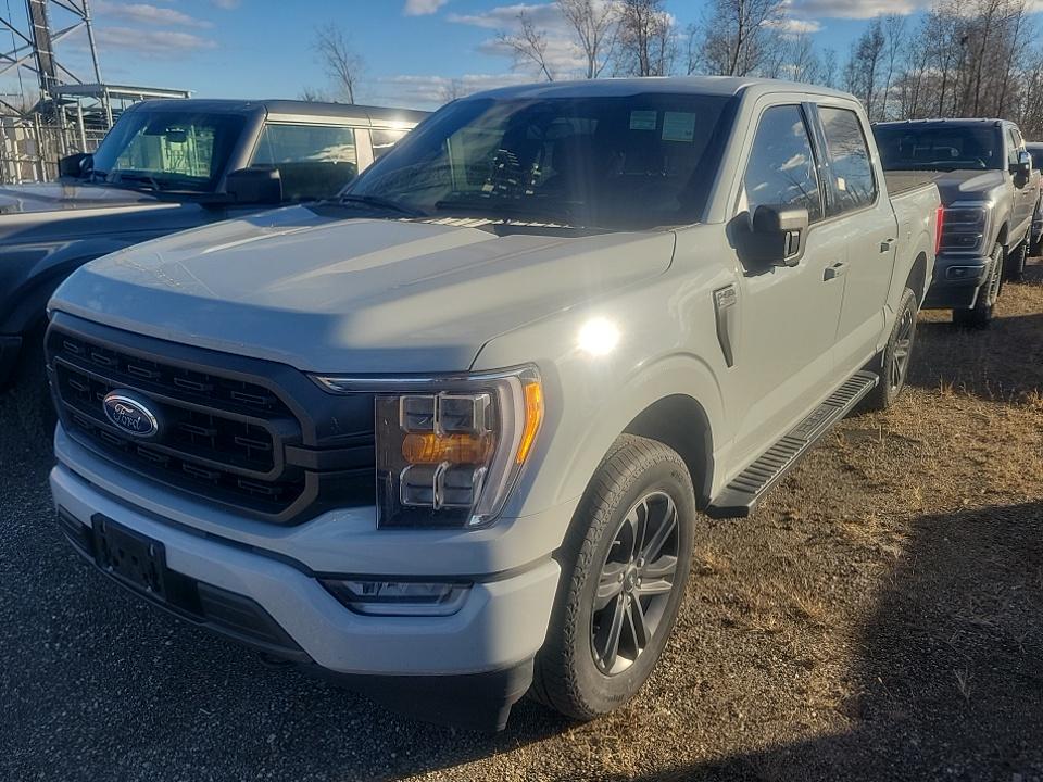 2023 Ford F-150 XLT AWD