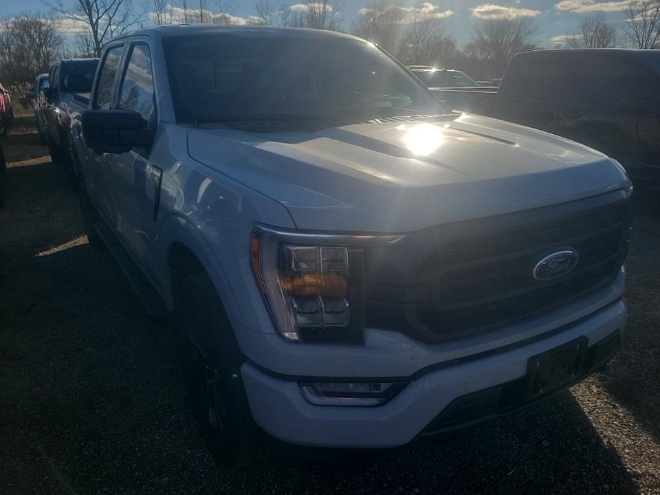 2023 Ford F-150 XLT AWD
