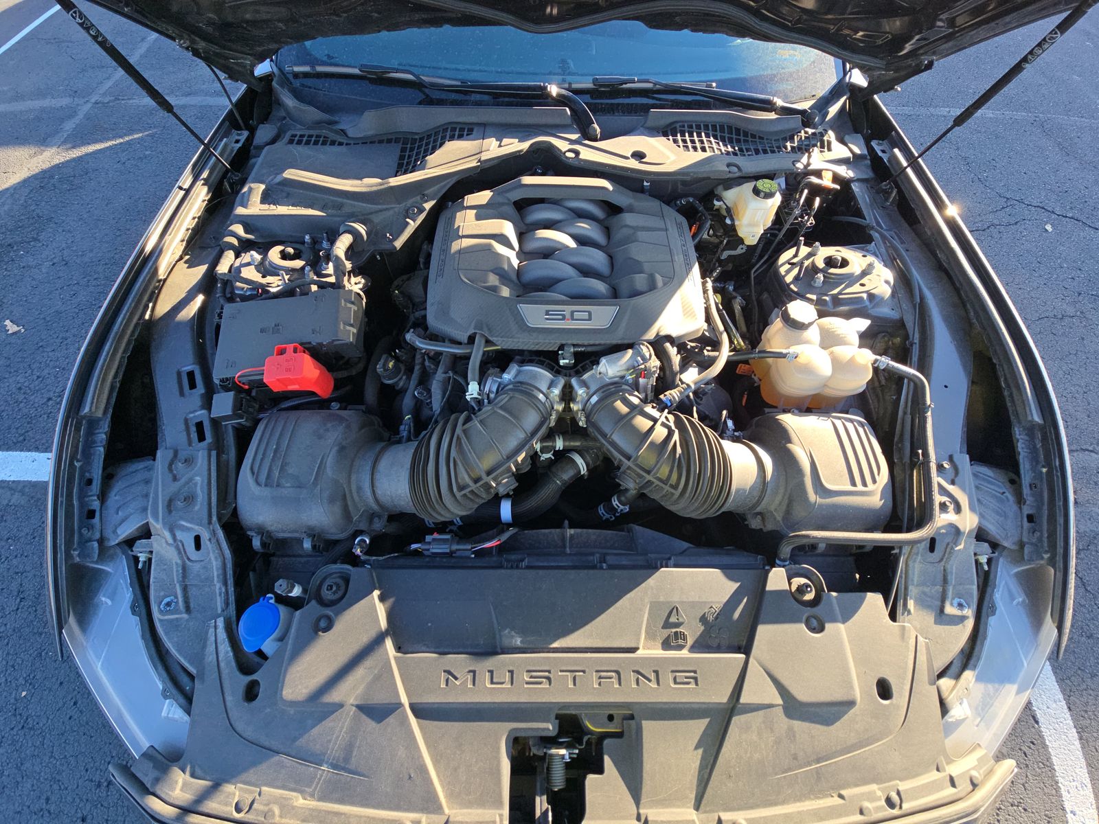 2024 Ford Mustang GT Premium FWD