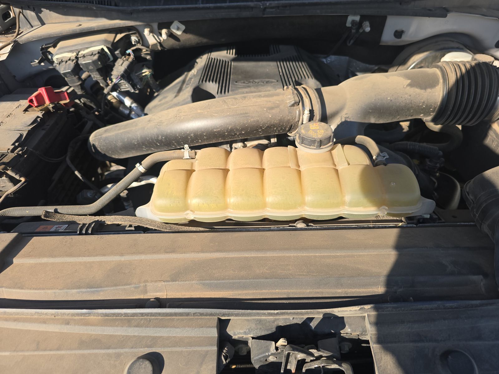 2019 Ford F-150 XLT RWD