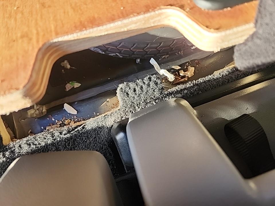 2019 Honda Odyssey EX-L FWD