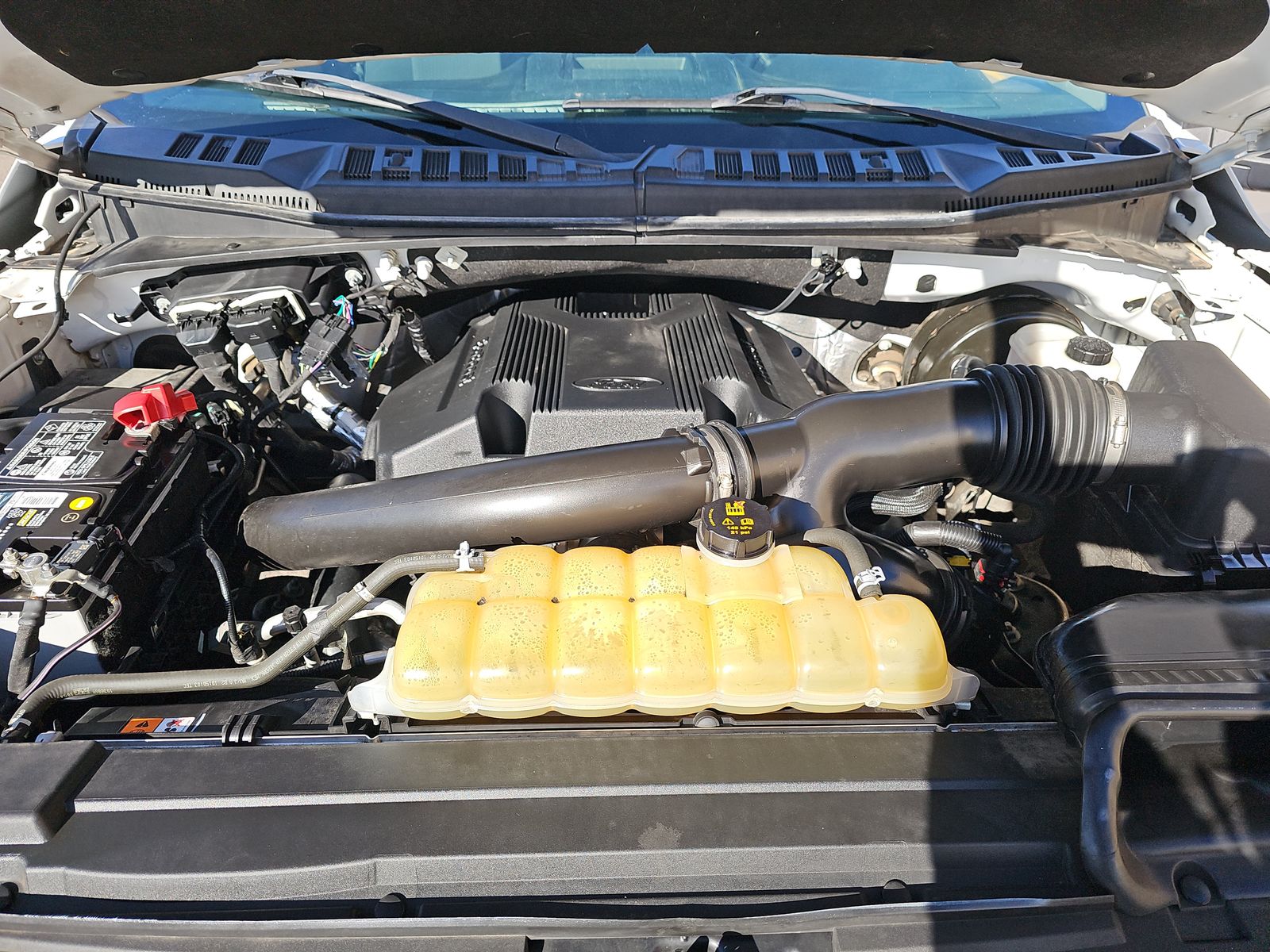 2019 Ford F-150 XLT RWD