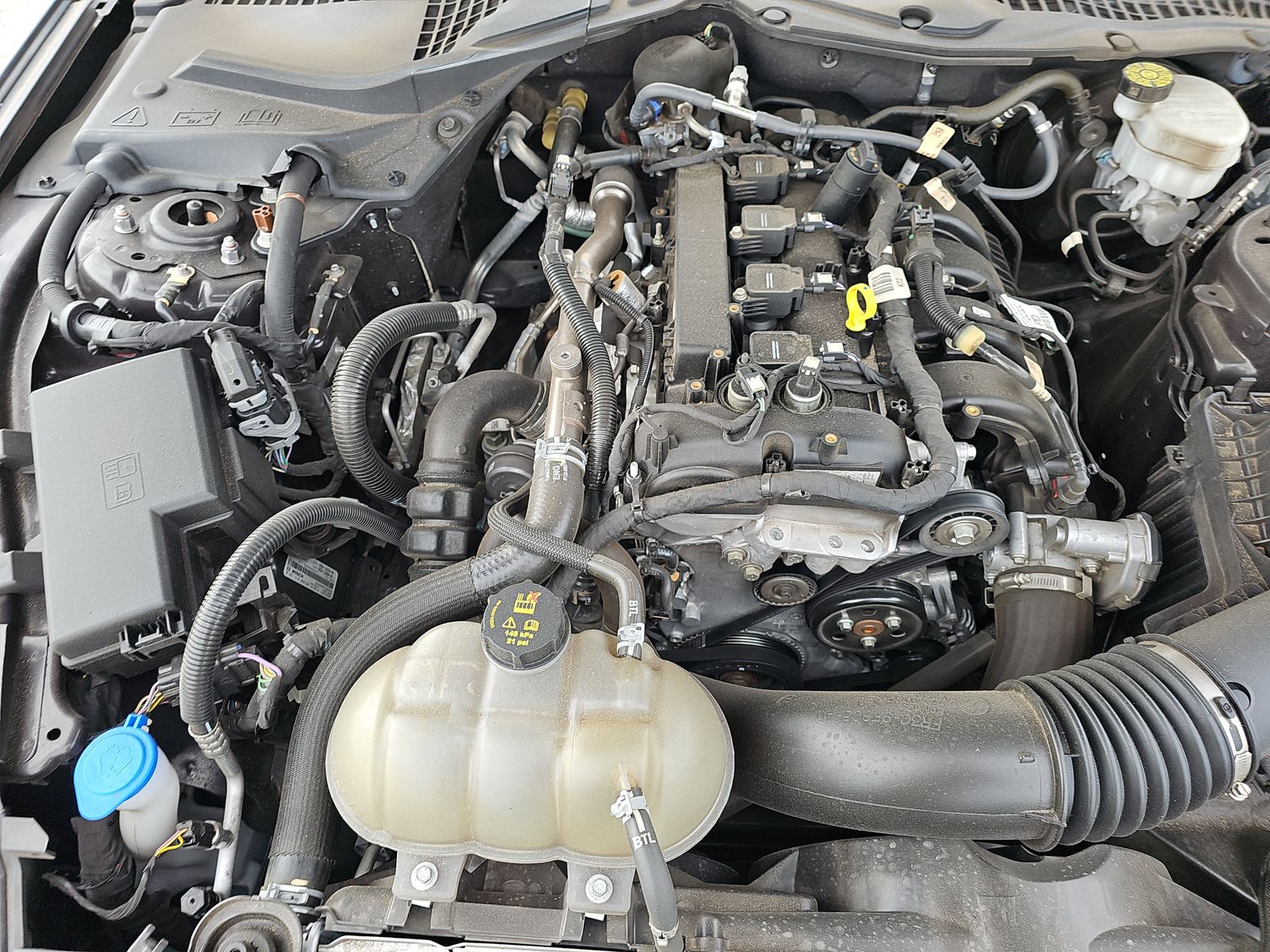 2022 Ford Mustang EcoBoost Premium RWD