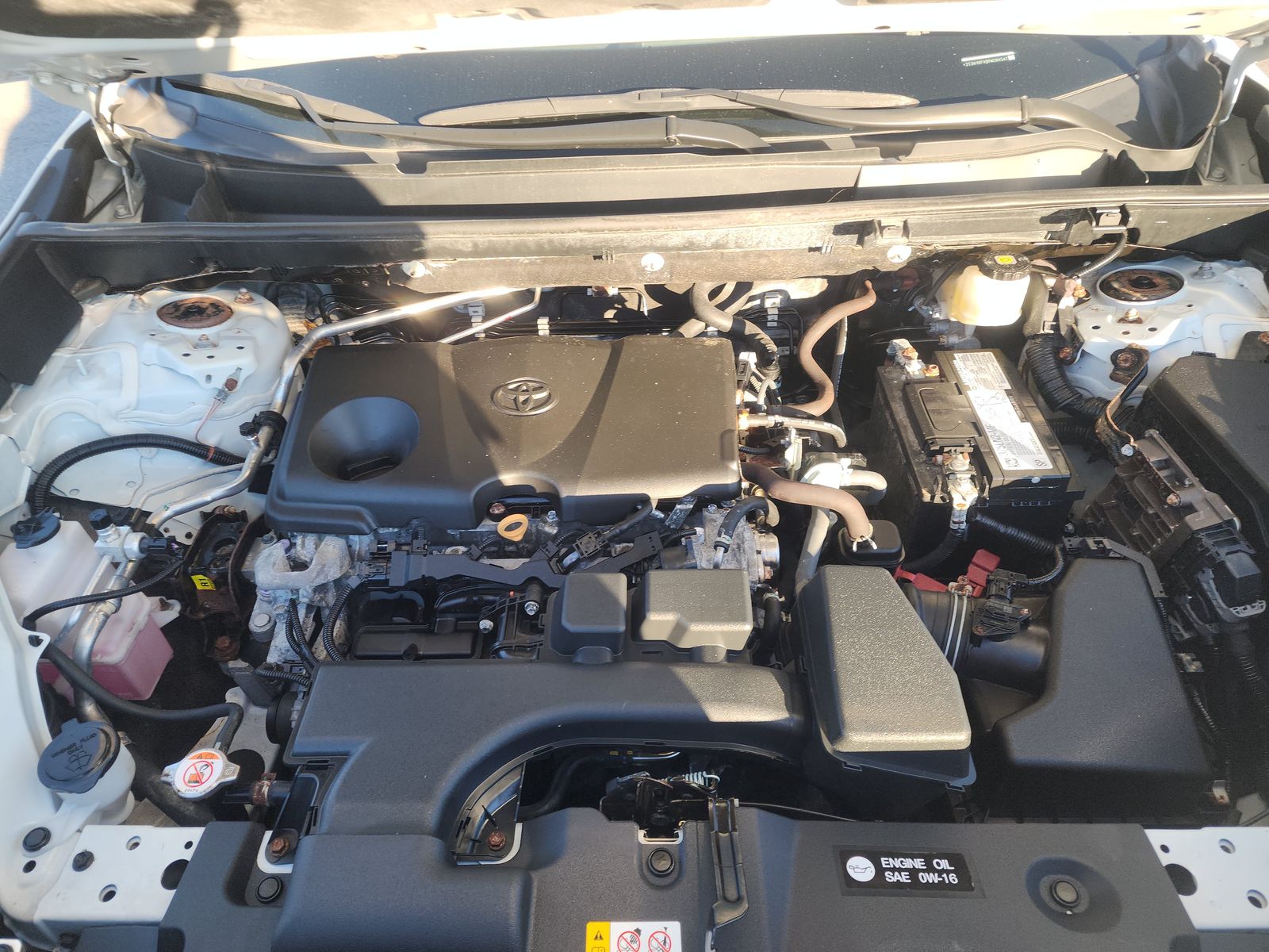 2023 Toyota RAV4 LE FWD