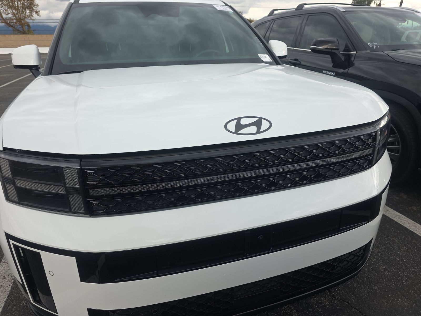 2024 Hyundai Santa Fe Calligraphy AWD