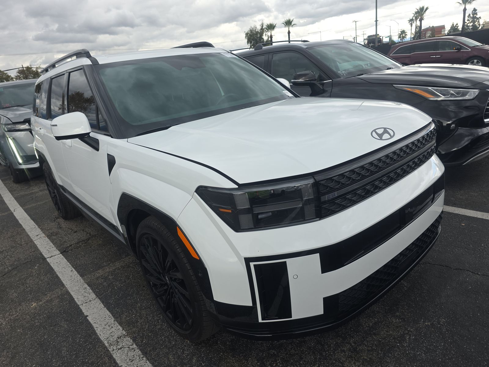 2024 Hyundai Santa Fe Calligraphy AWD