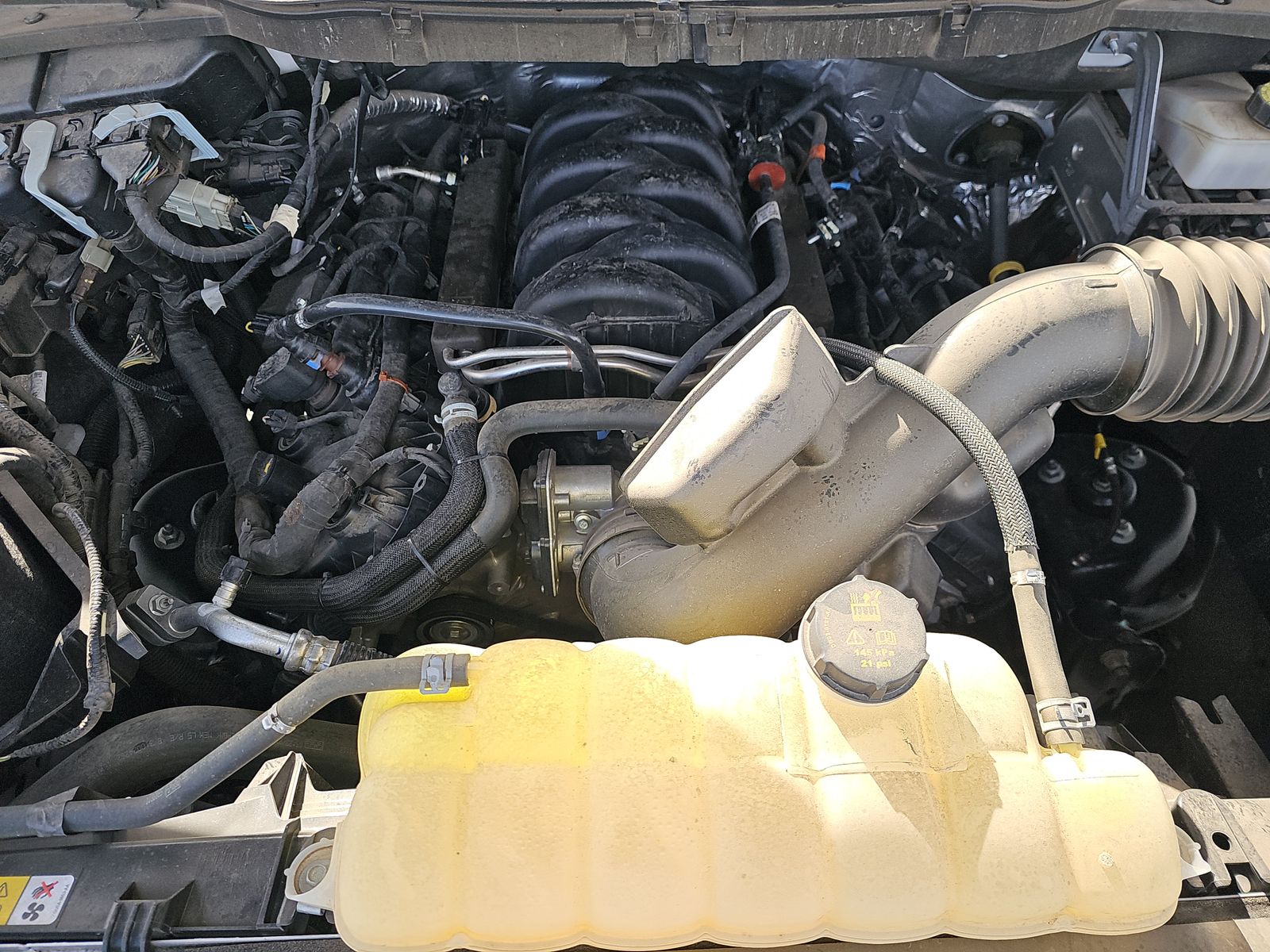 2023 Ford F-150 XLT RWD