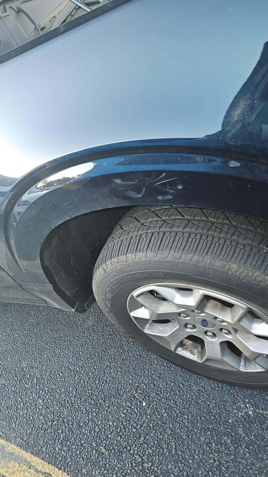 2023 Ford F-150 XLT RWD