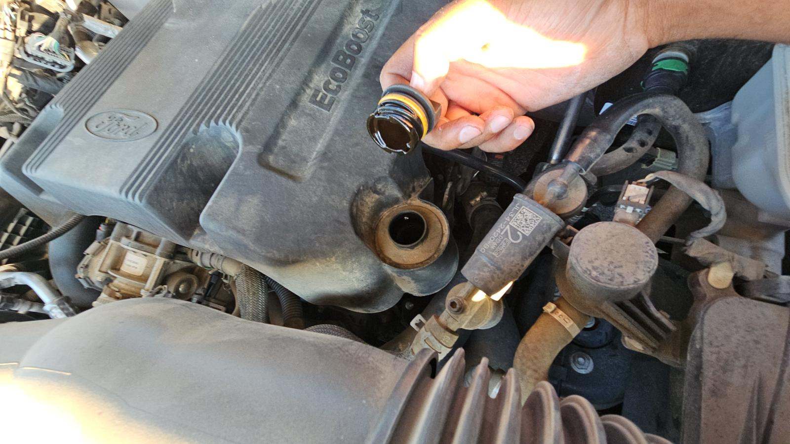 2019 Ford F-150 XLT RWD