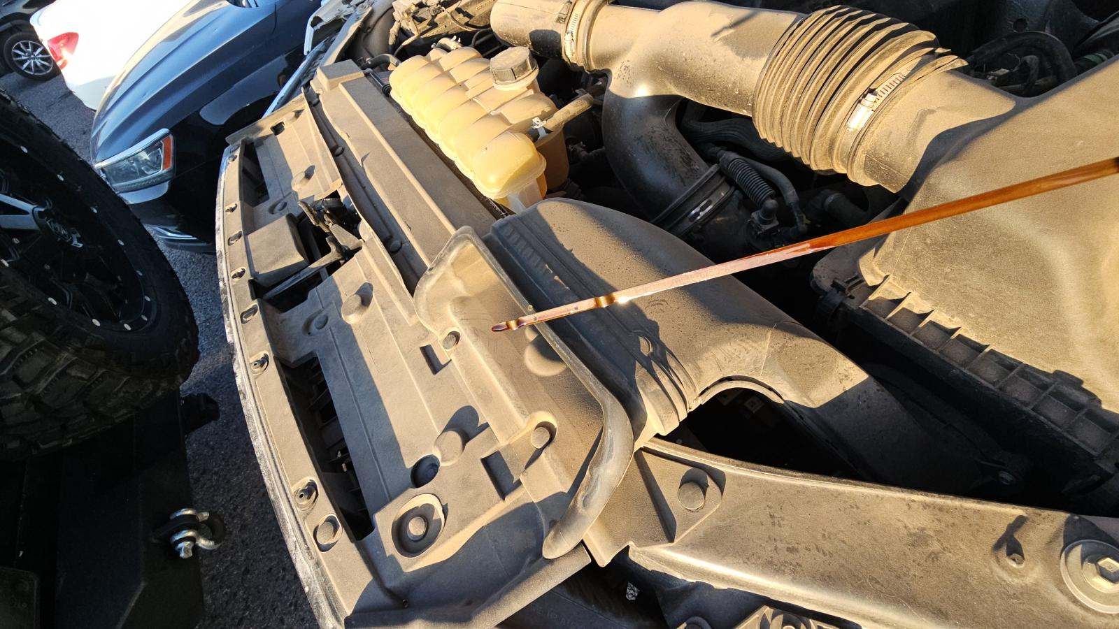 2019 Ford F-150 XLT RWD