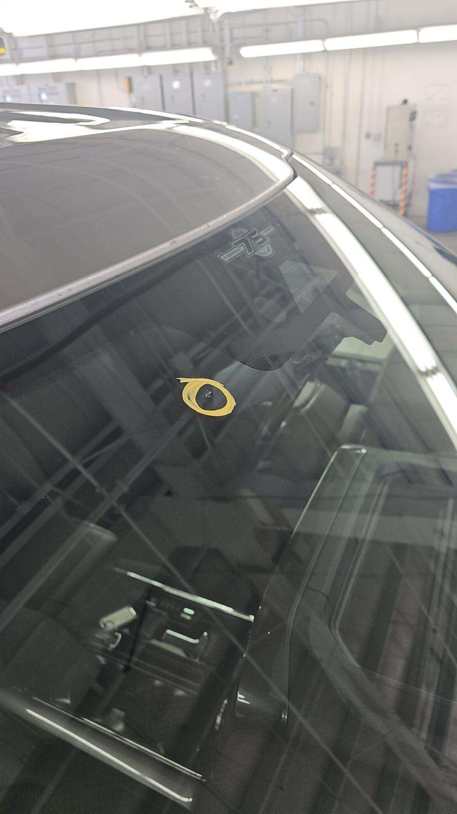 2023 Ford F-150 XLT RWD