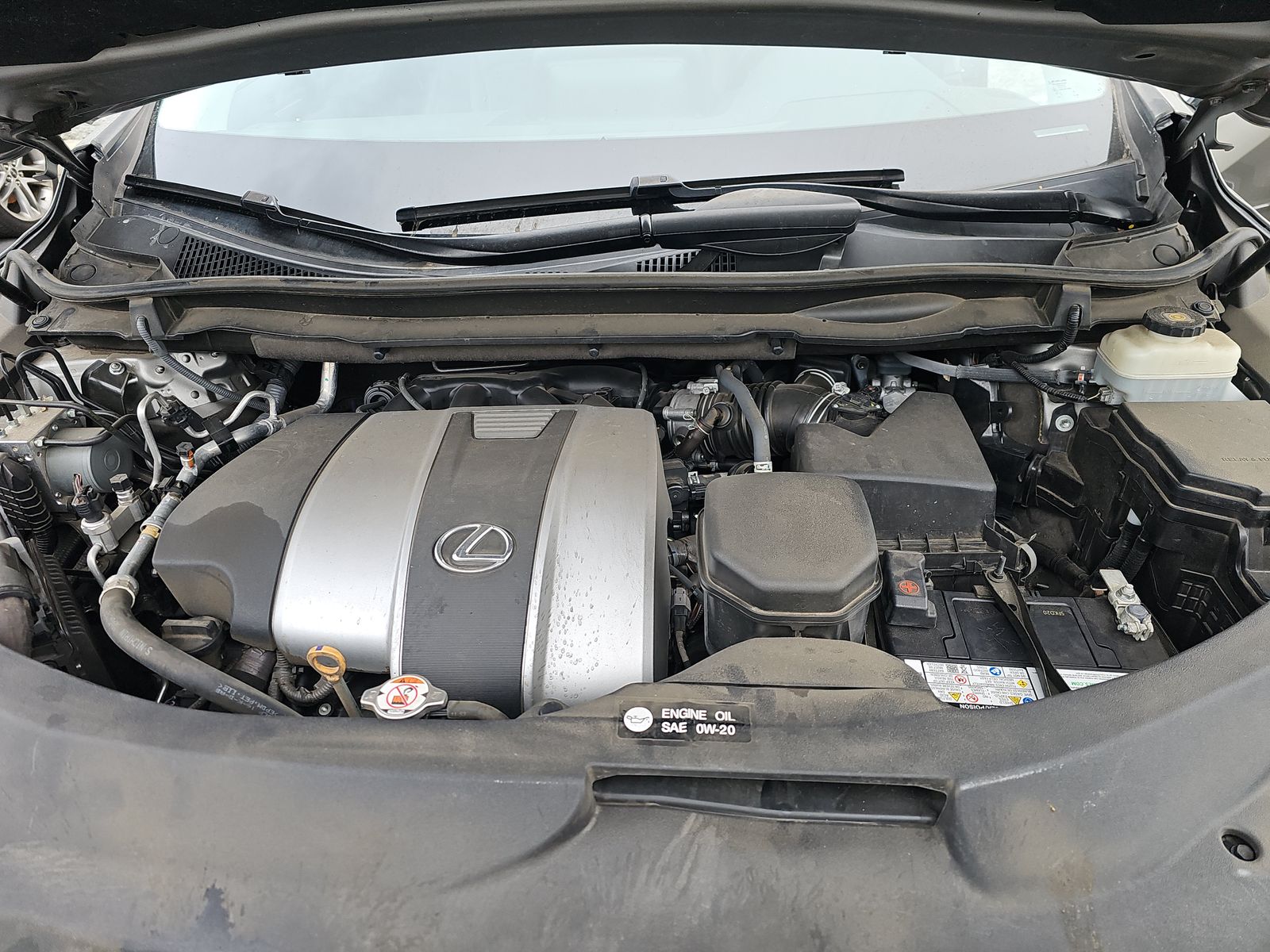 2021 Lexus RX RX 350 FWD