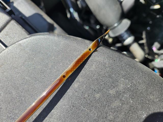 2025 Ford Escape Active AWD