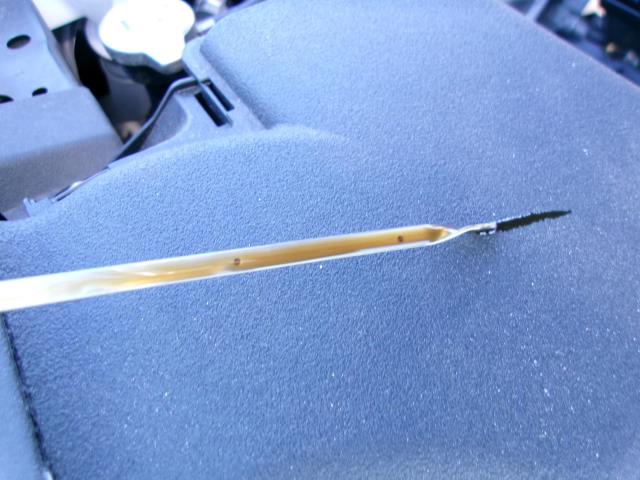 2025 Toyota RAV4 LE FWD