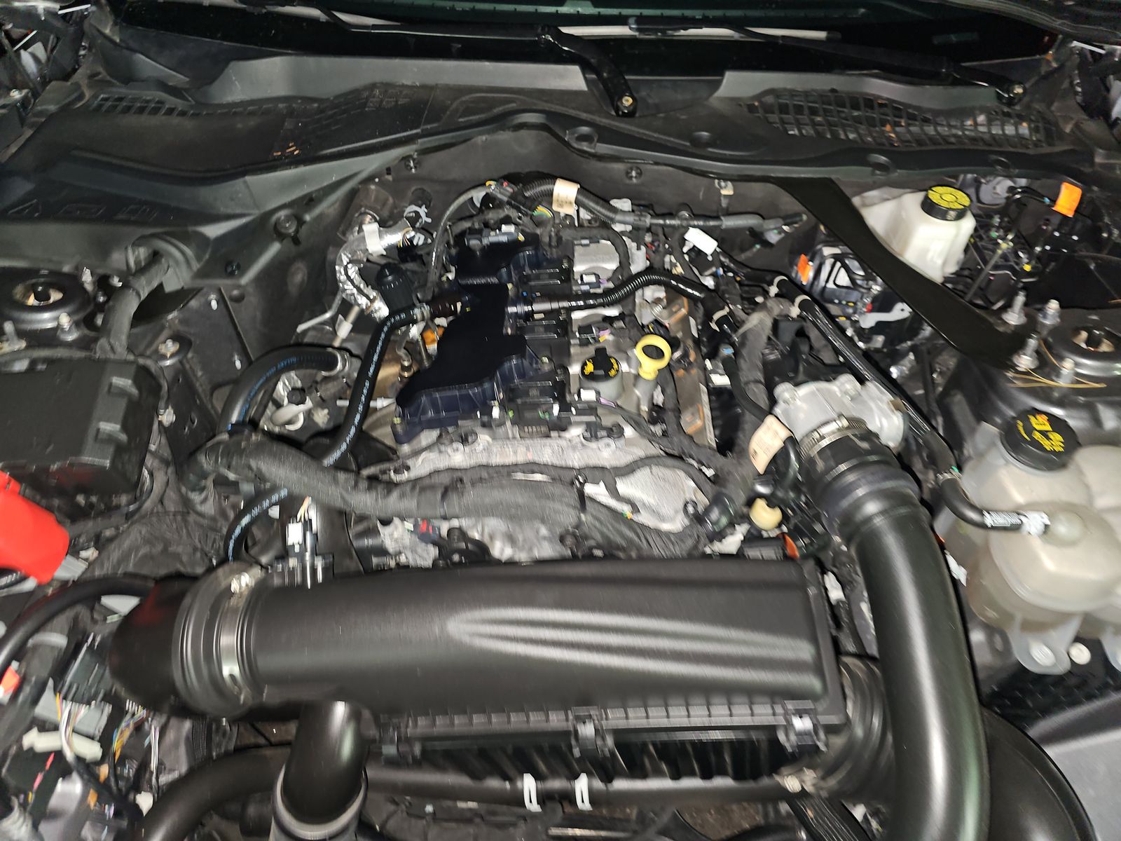 2024 Ford Mustang EcoBoost Premium RWD