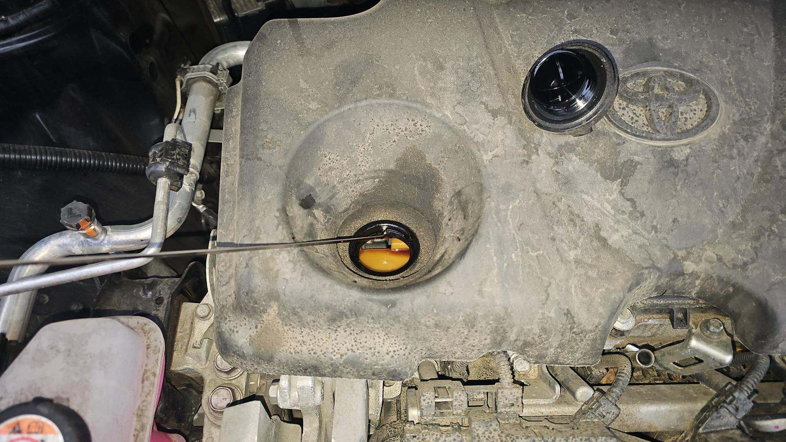 2024 Toyota Sienna Limited AWD