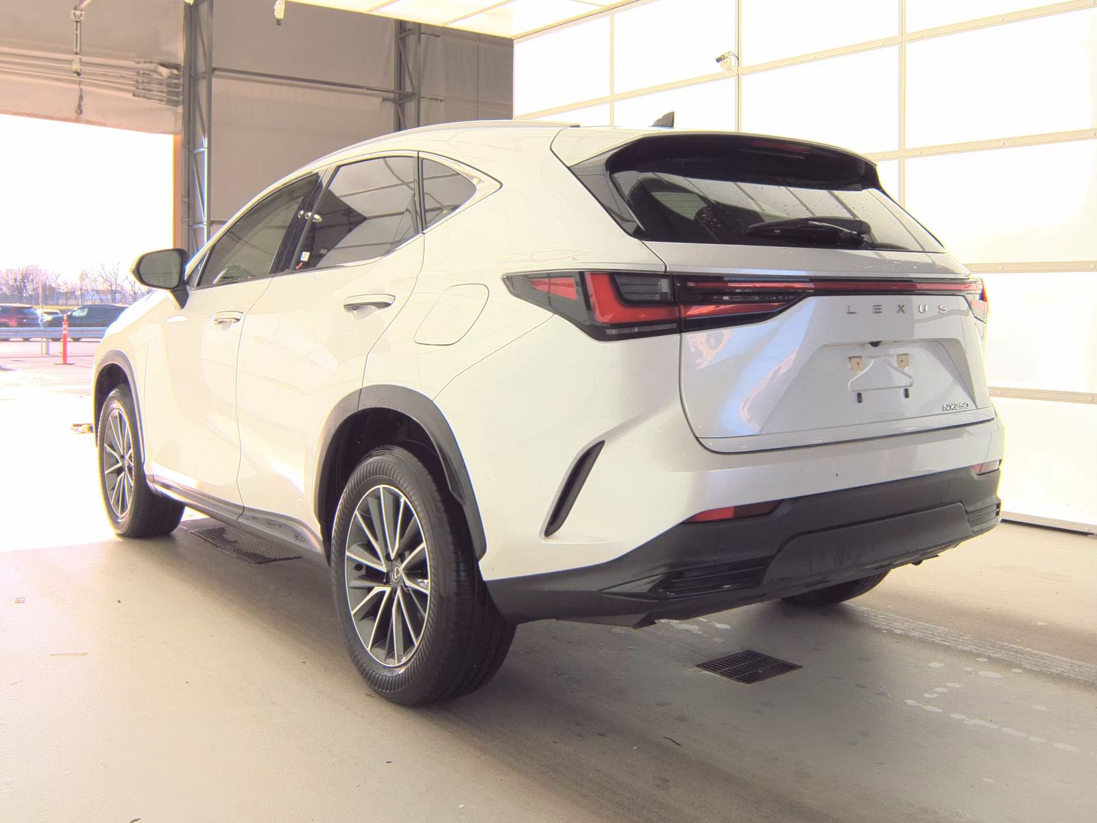 2024 Lexus NX NX 250 FWD
