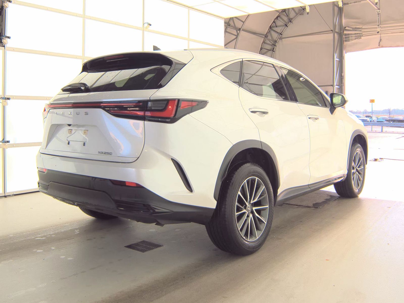 2024 Lexus NX NX 250 FWD