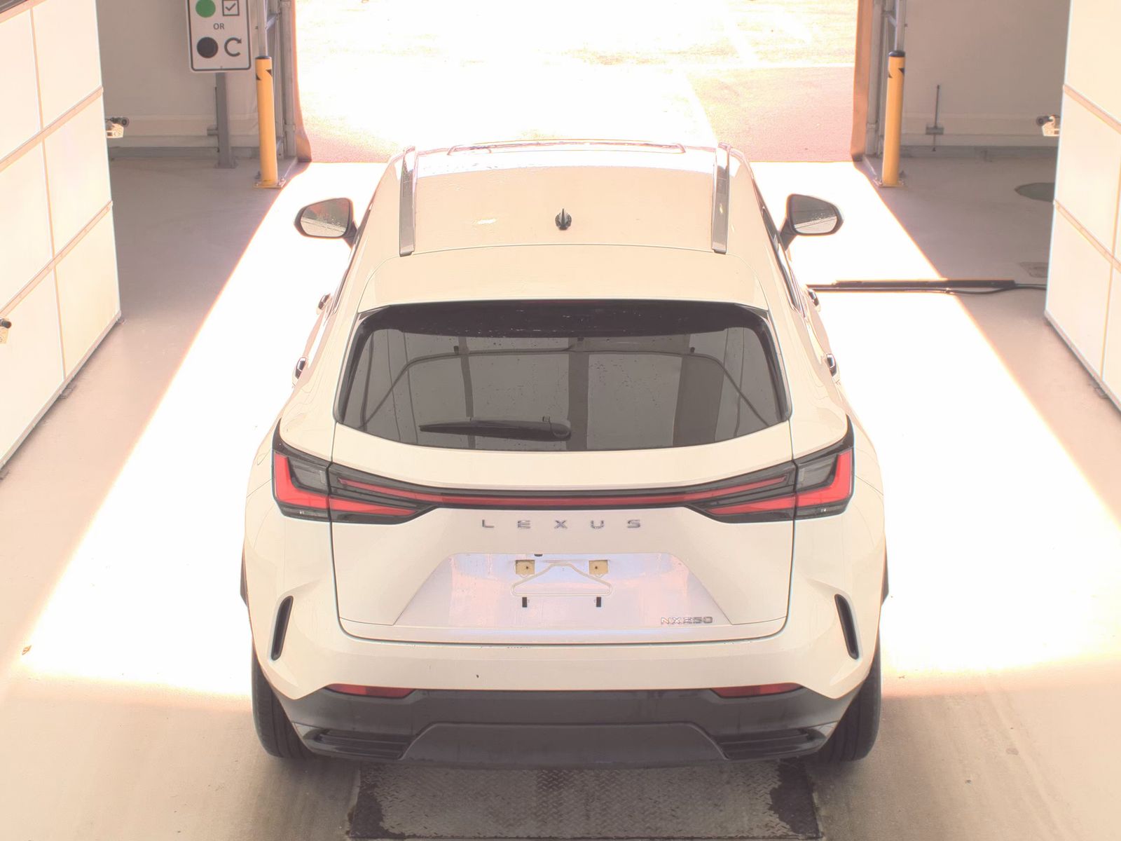 2024 Lexus NX NX 250 FWD