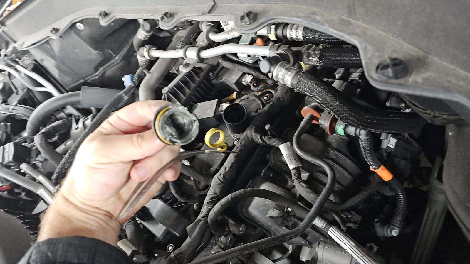 2023 Ford Explorer XLT RWD