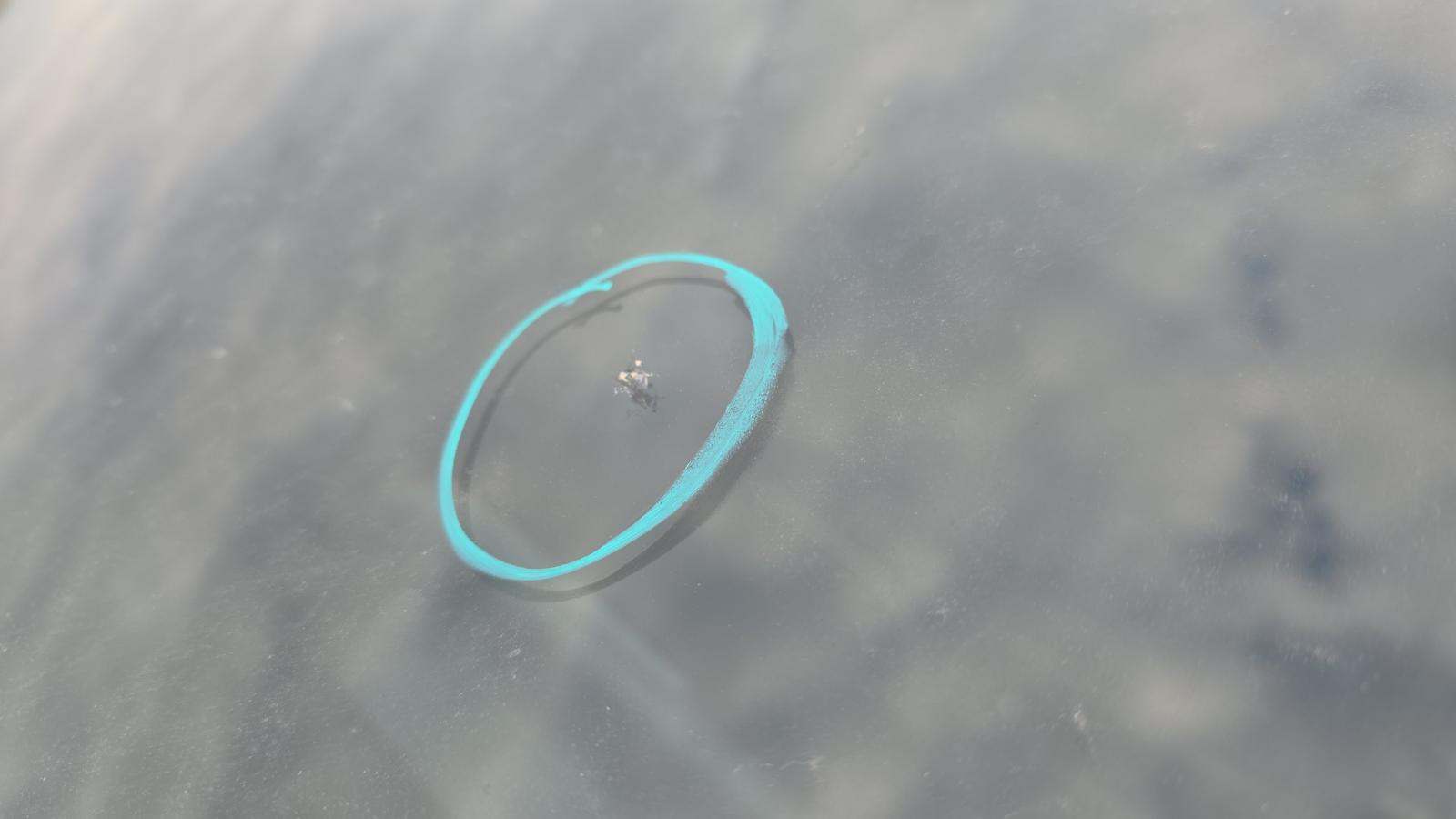 2023 Kia Sorento S FWD