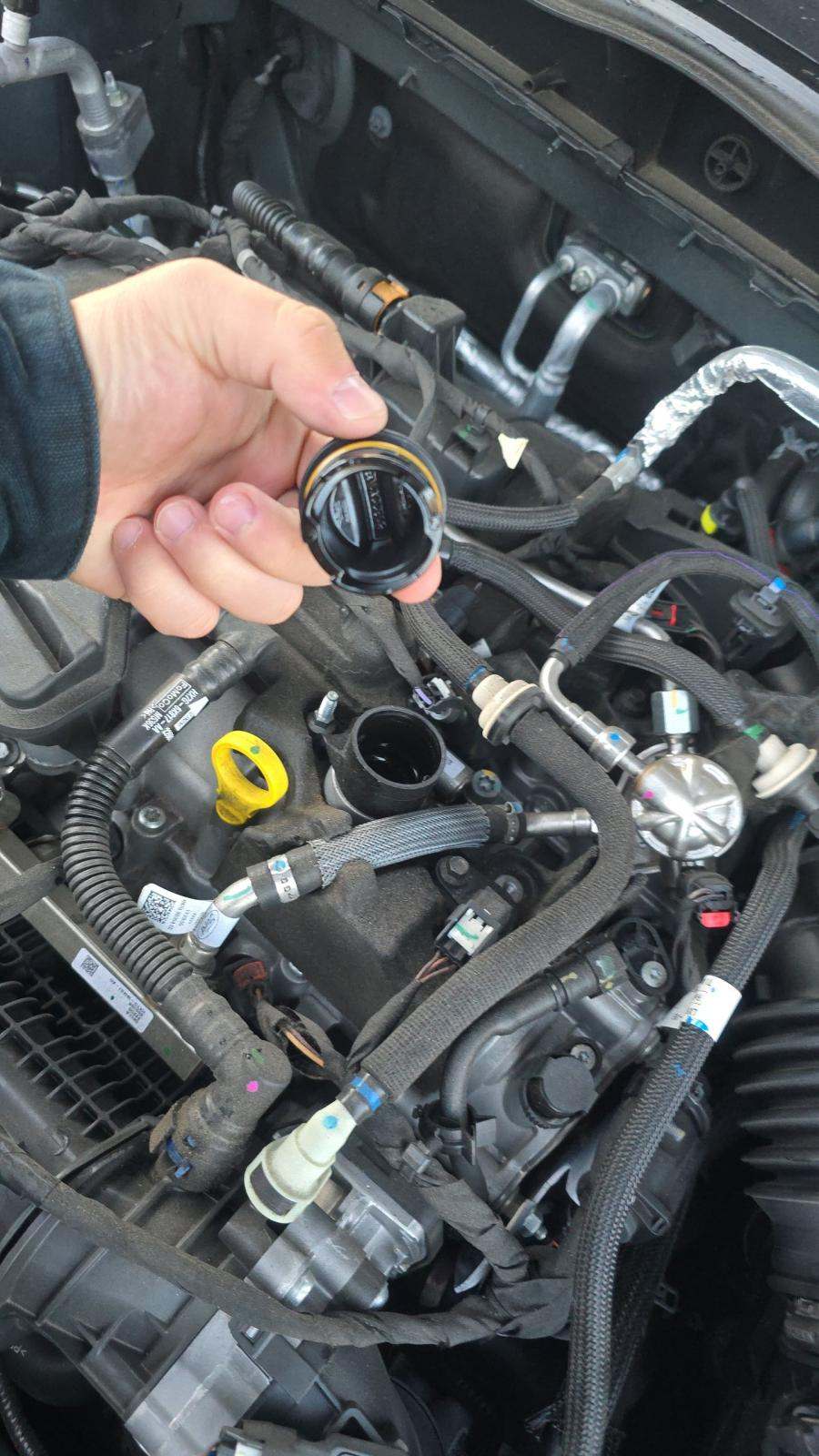 2022 Ford Escape SEL FWD