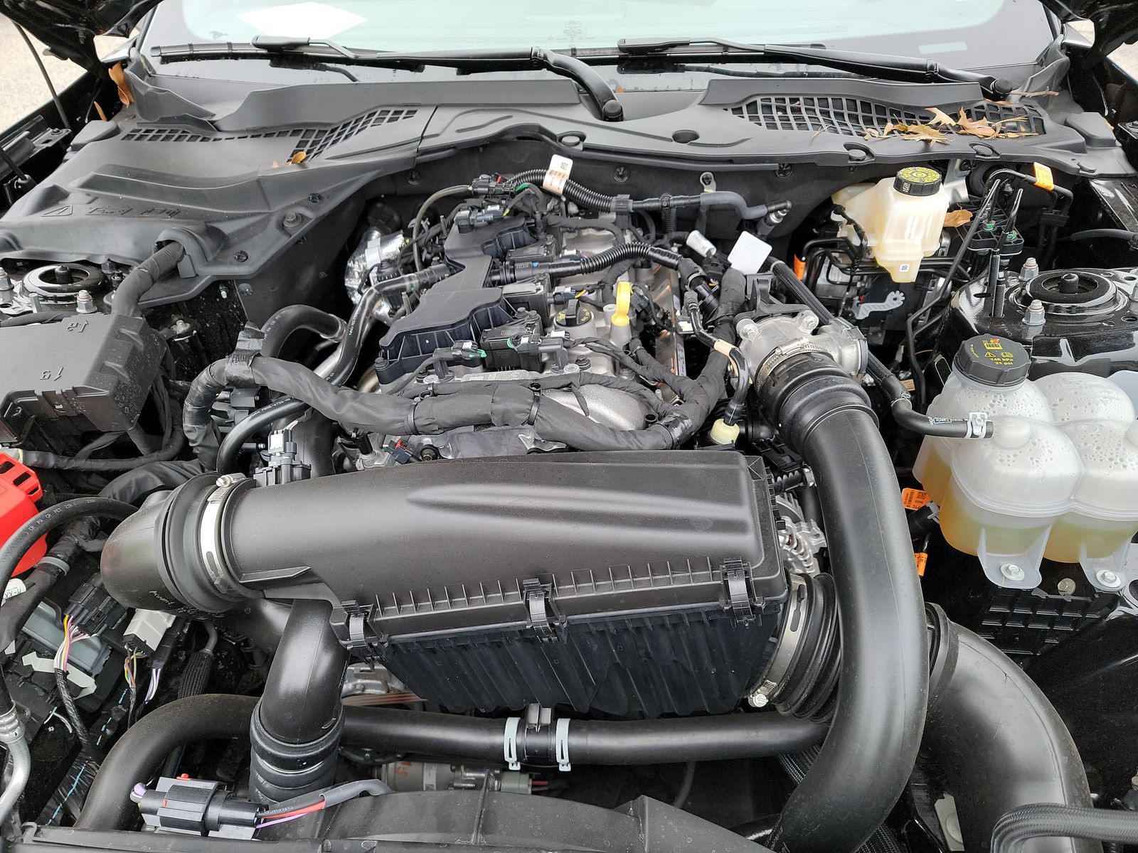 2025 Ford Mustang EcoBoost RWD