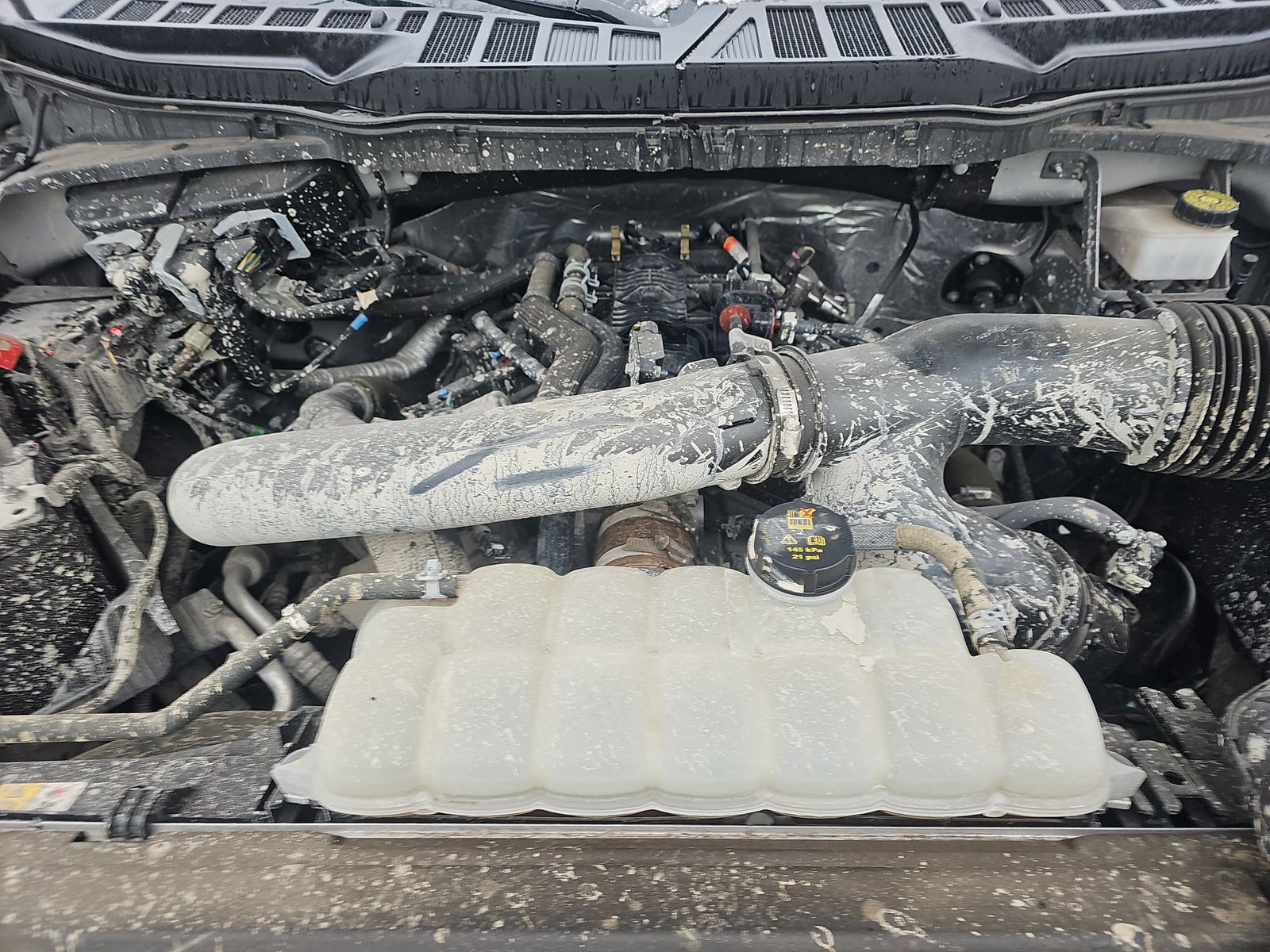 2024 Ford F-150 XLT AWD