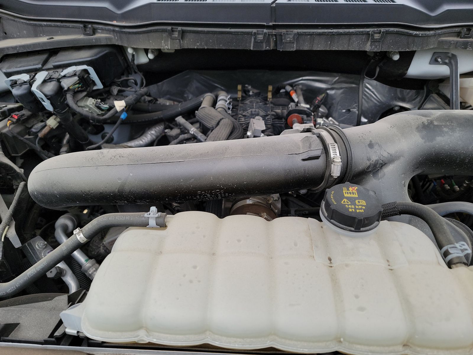 2024 Ford F-150 XLT AWD