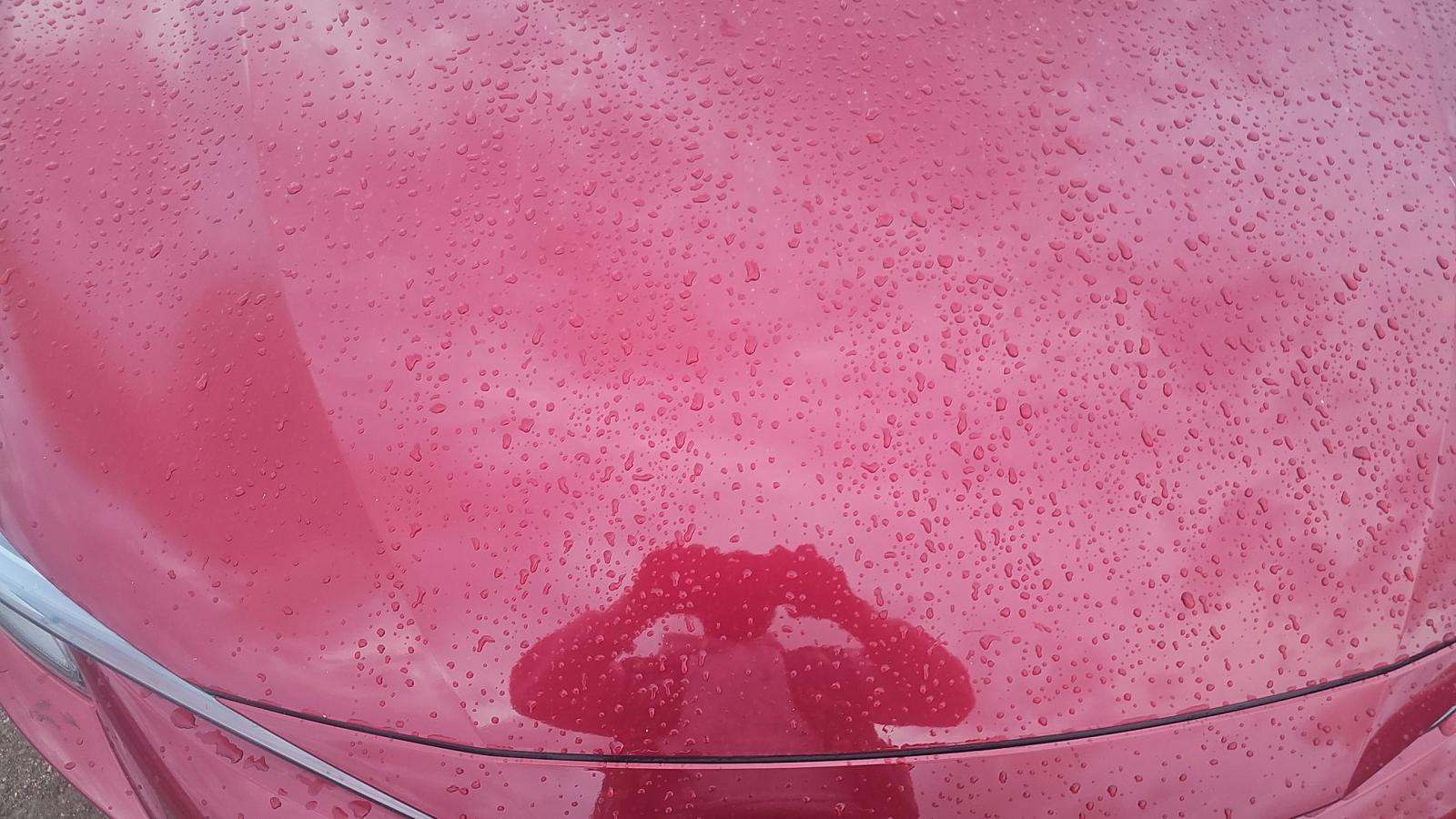 2024 Toyota Corolla Hybrid LE AWD