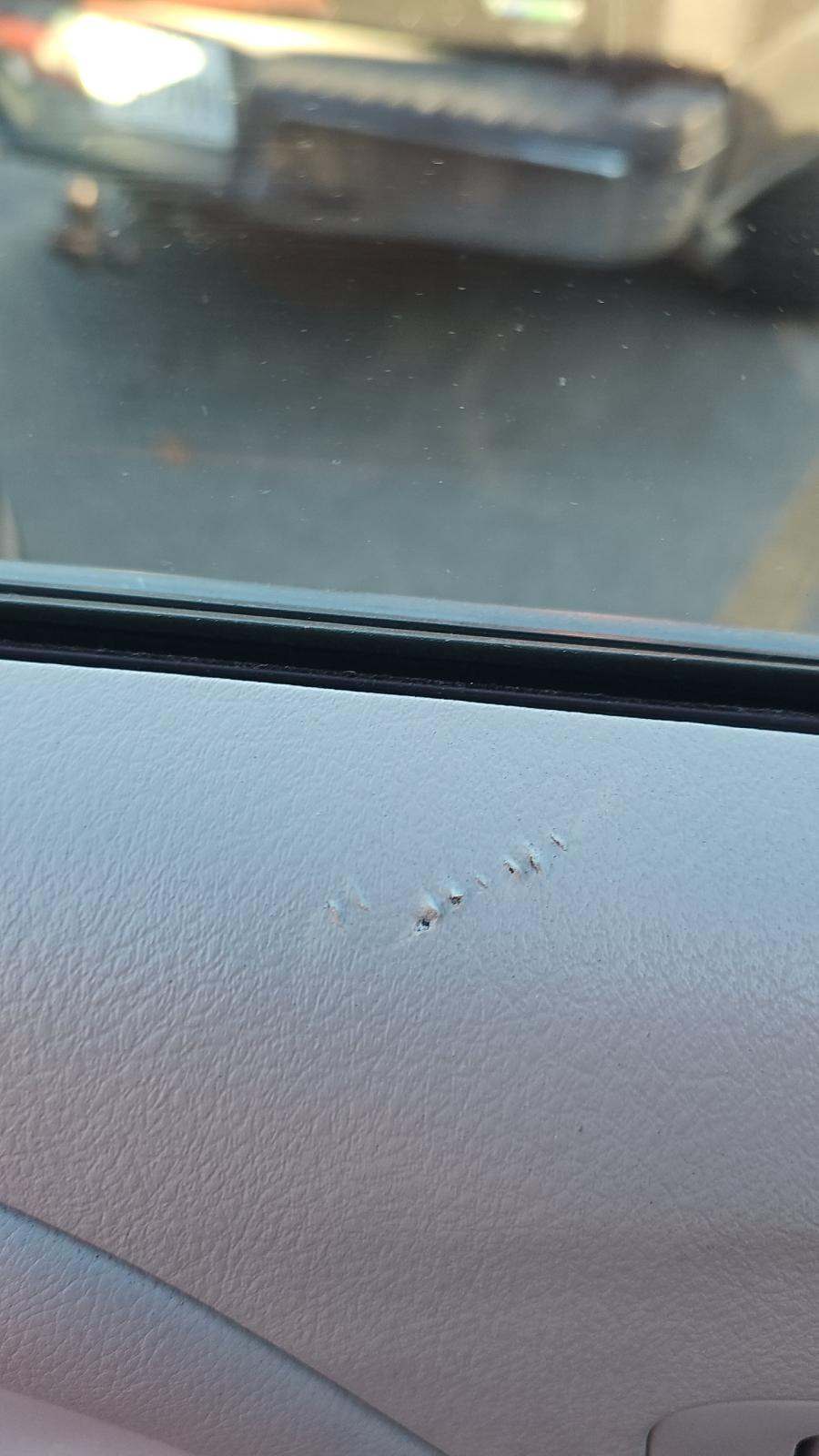 2020 Toyota Sienna XLE FWD