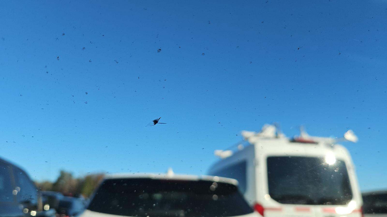 2020 Toyota Sienna XLE FWD