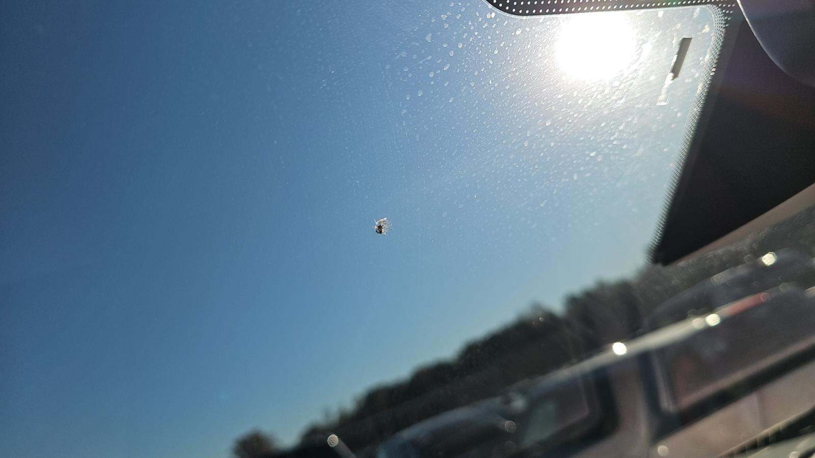 2015 Ford F-150 Platinum RWD