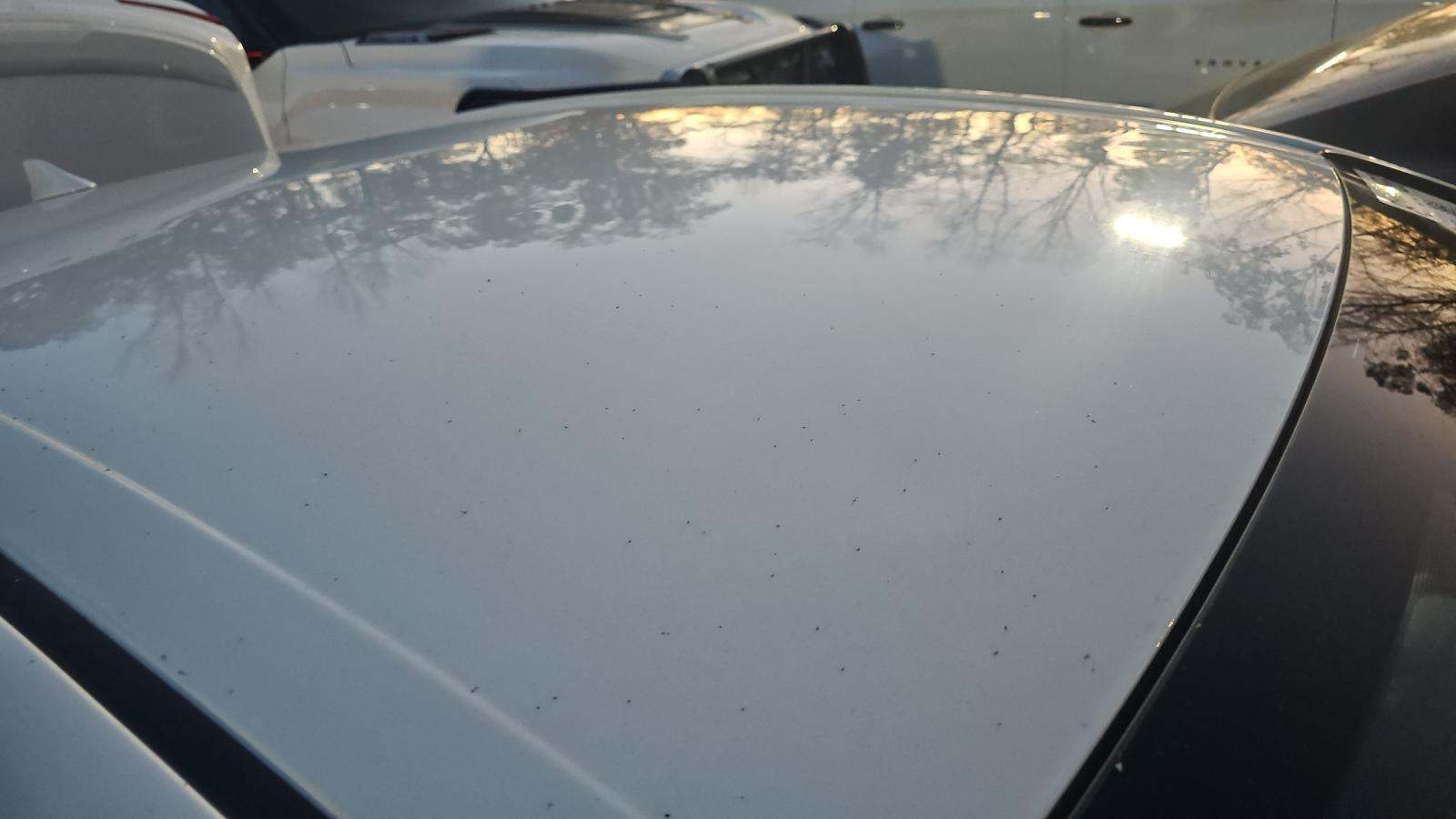 2025 Toyota Camry SE FWD