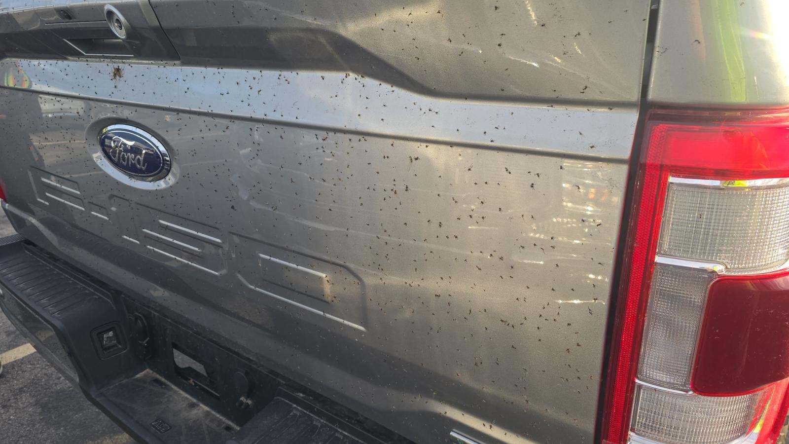 2022 Ford F-150 Lariat AWD