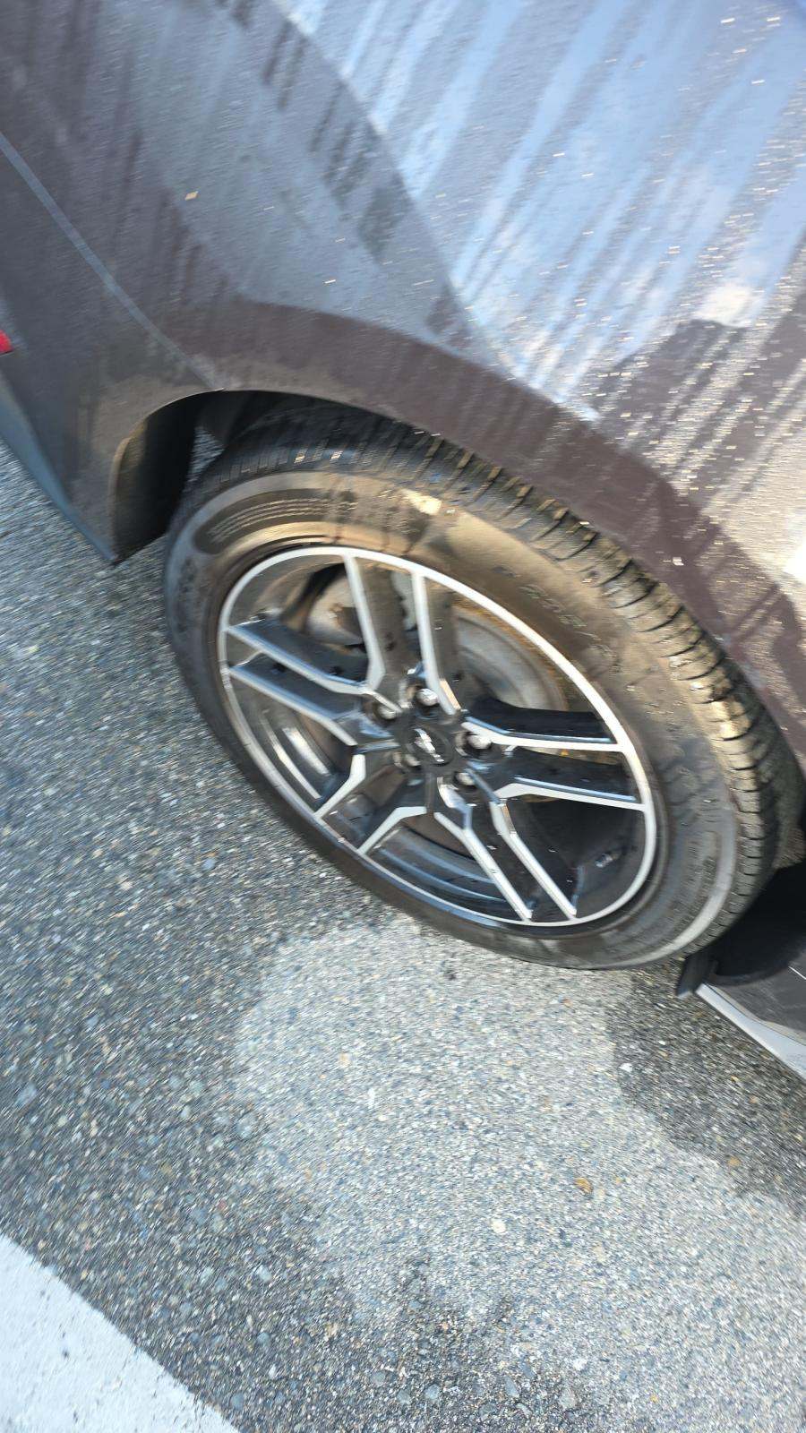 2022 Ford Mustang EcoBoost Premium RWD