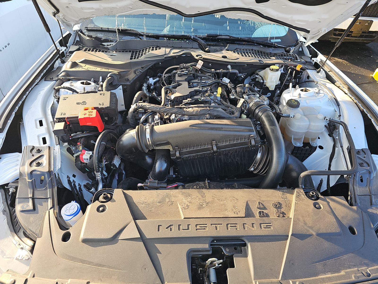 2025 Ford Mustang EcoBoost Premium RWD